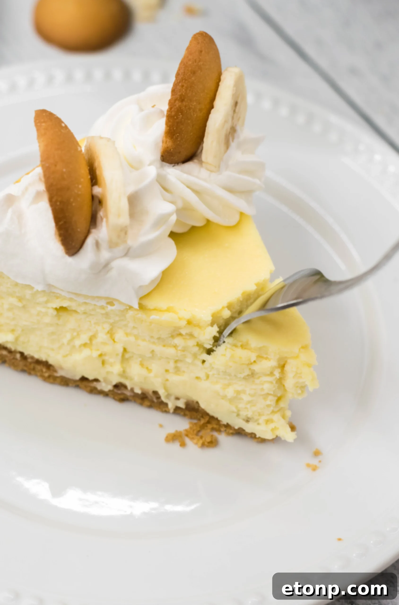 Ingredients for banana pudding cheesecake