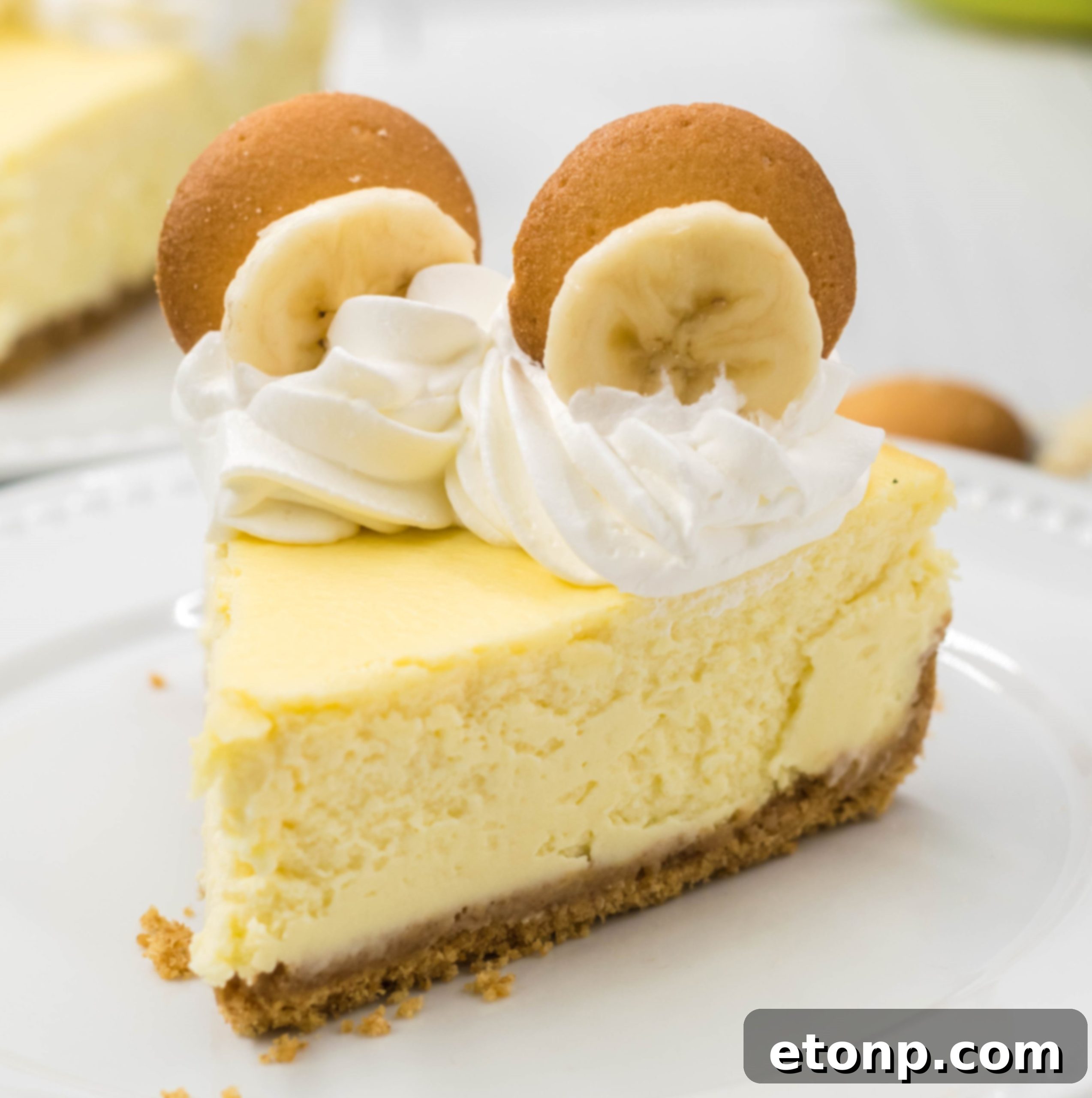Close up of banana pudding cheesecake