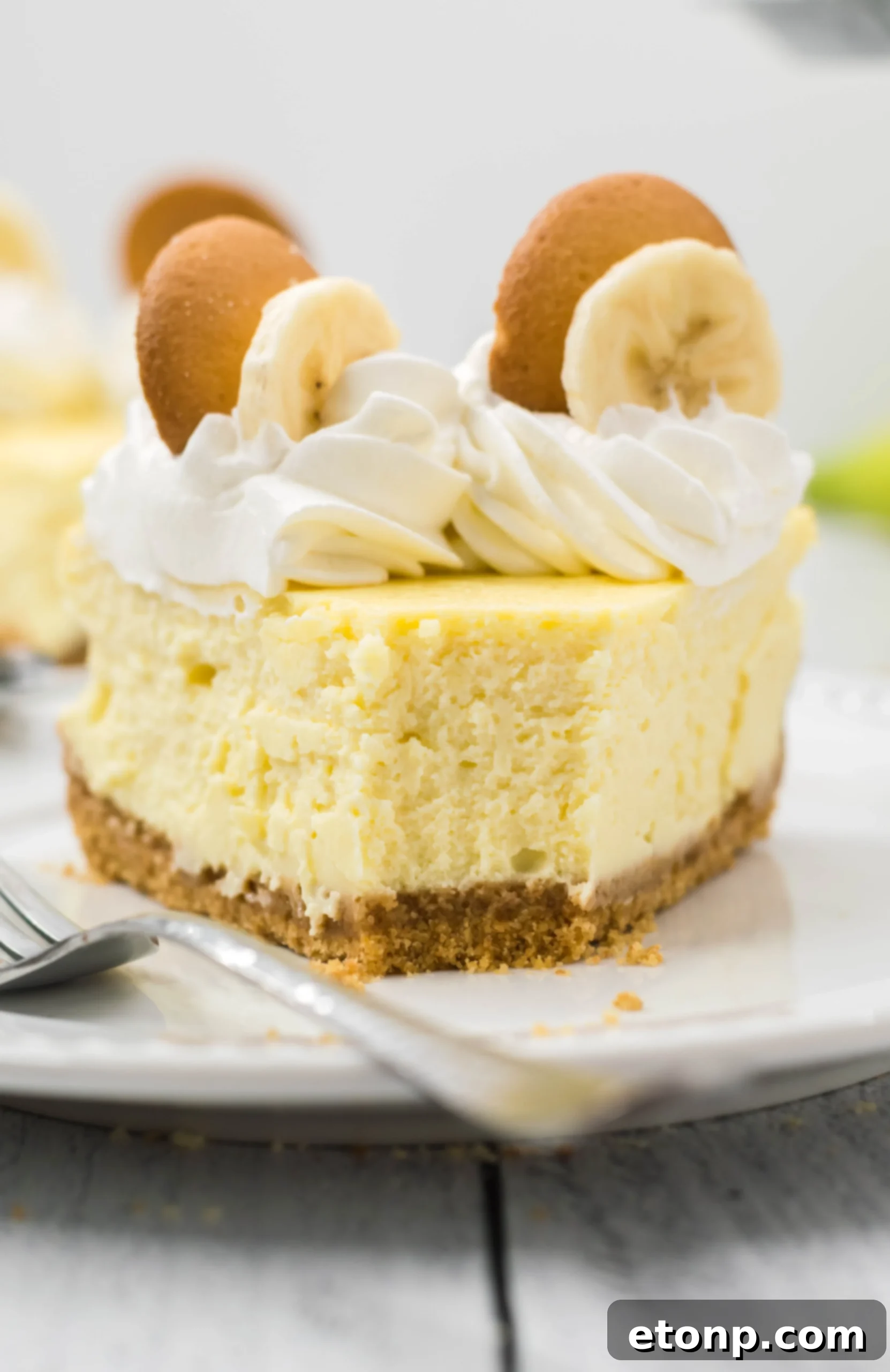 Banana Pudding Cheesecake ready for storage