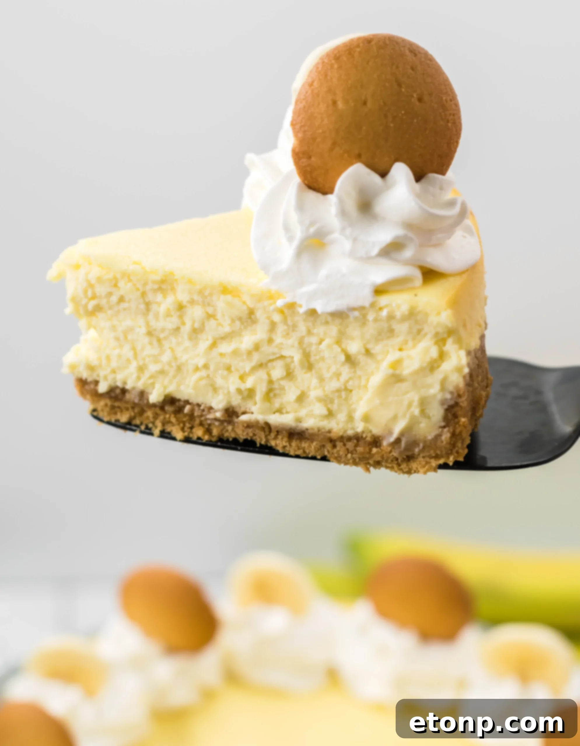 Slice of Banana Pudding Cheesecake