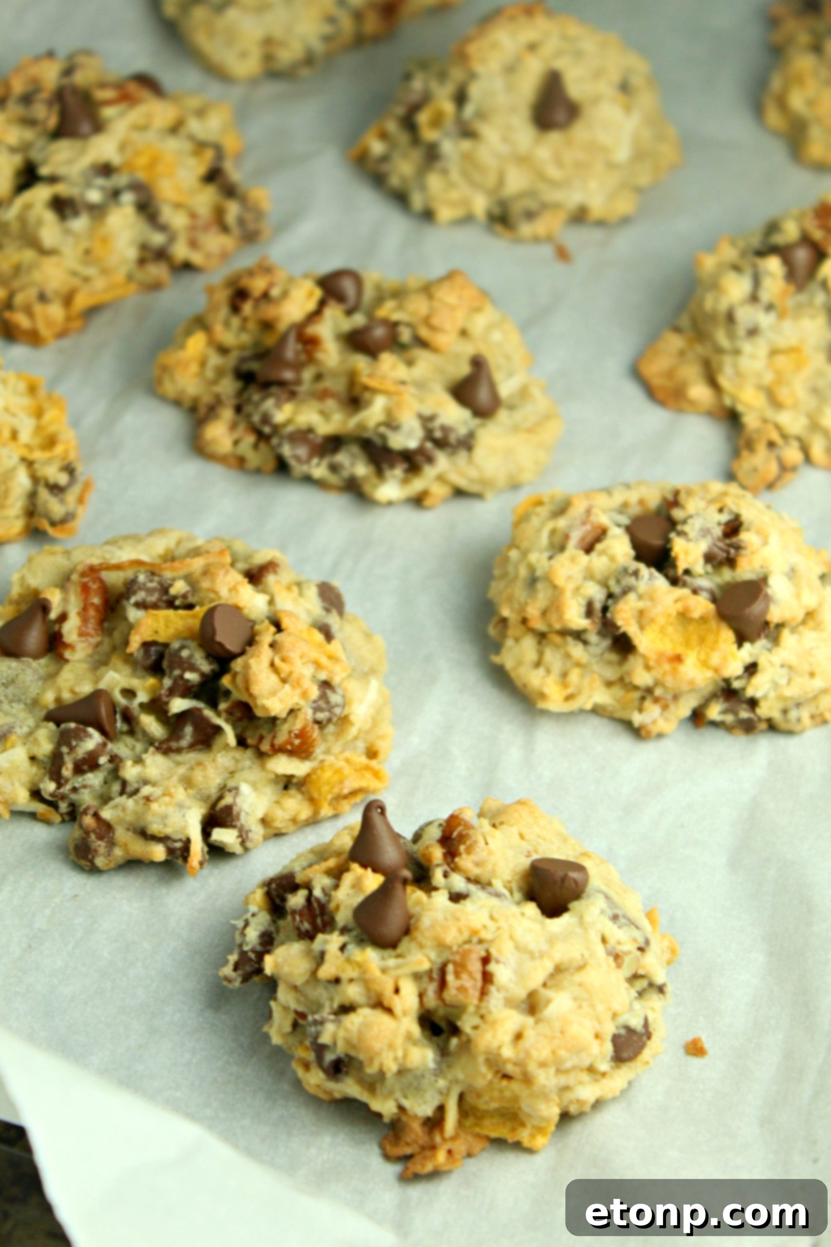 A plate of freshly baked Cowboy Cookies, ready to eat.