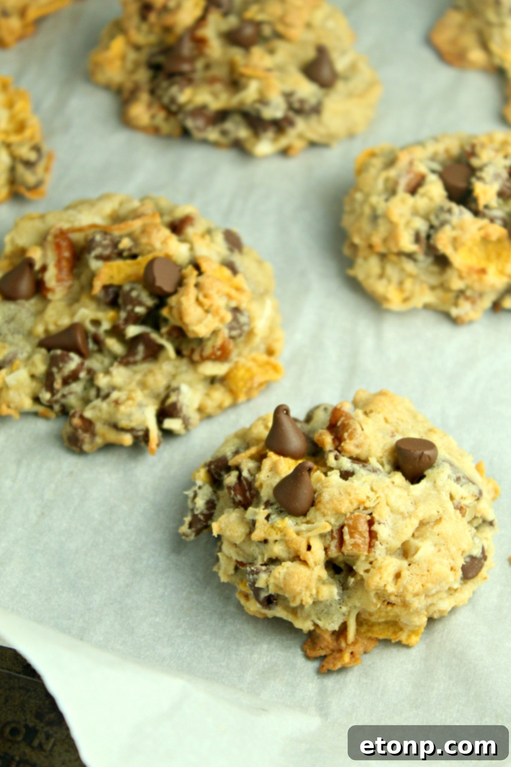 Close-up of a Cowboy Cookie with visible chocolate chips.