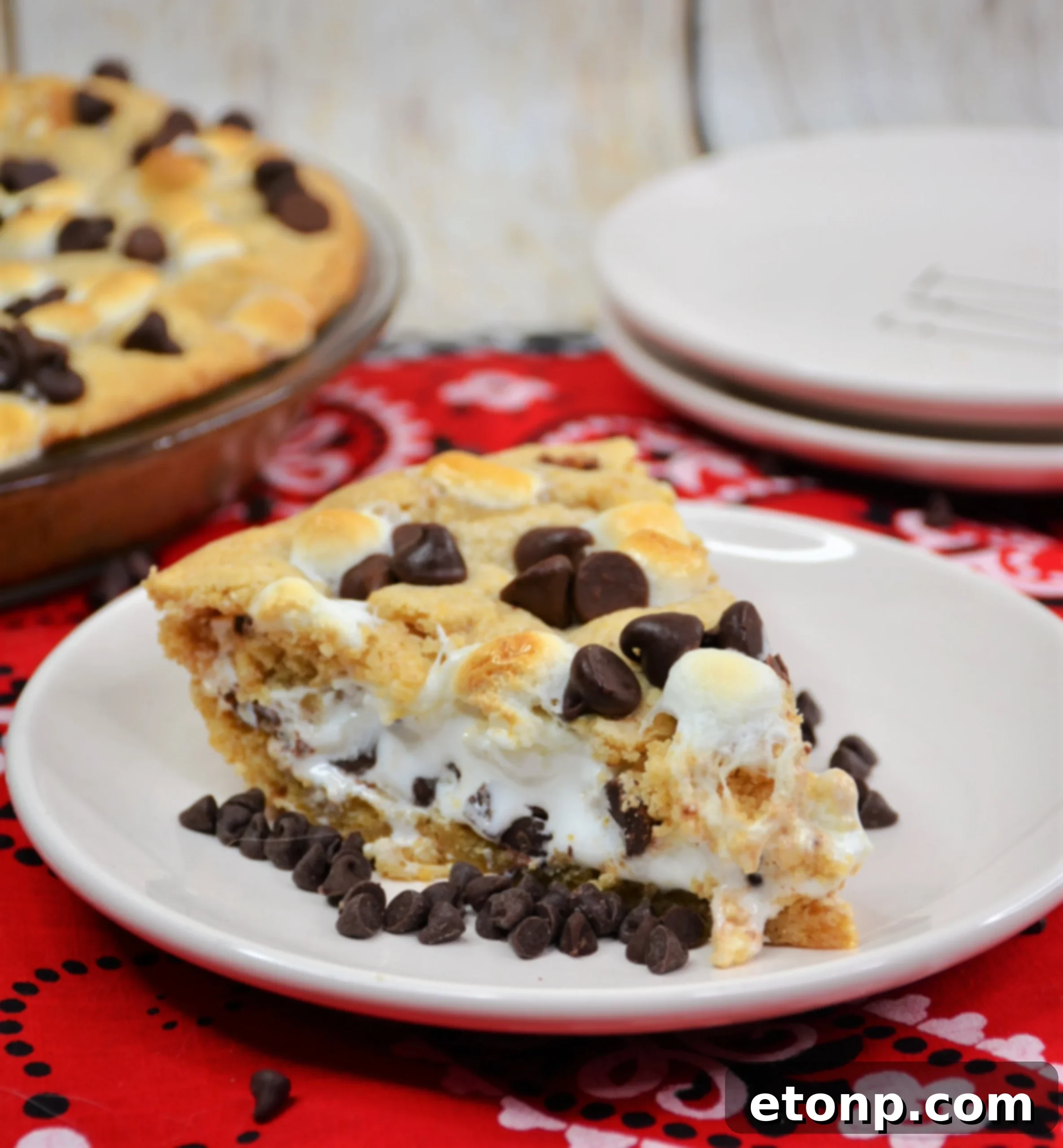 Delicious S'mores Pie fresh out of the oven, golden brown marshmallows