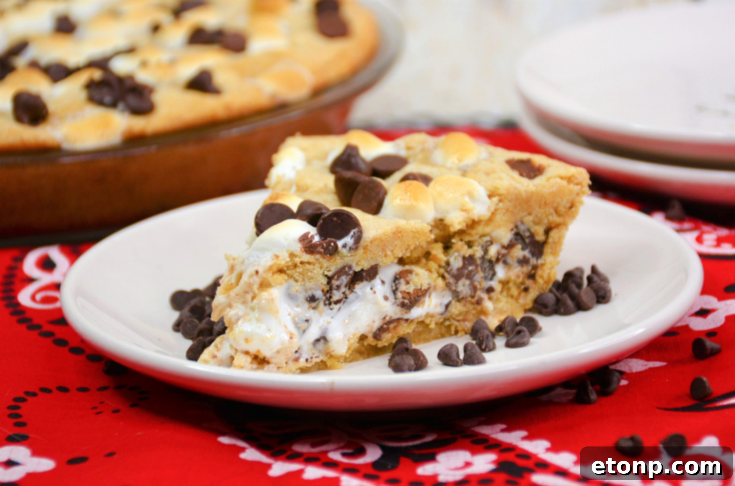 Variety of S'mores Pie slices, some in mini crusts