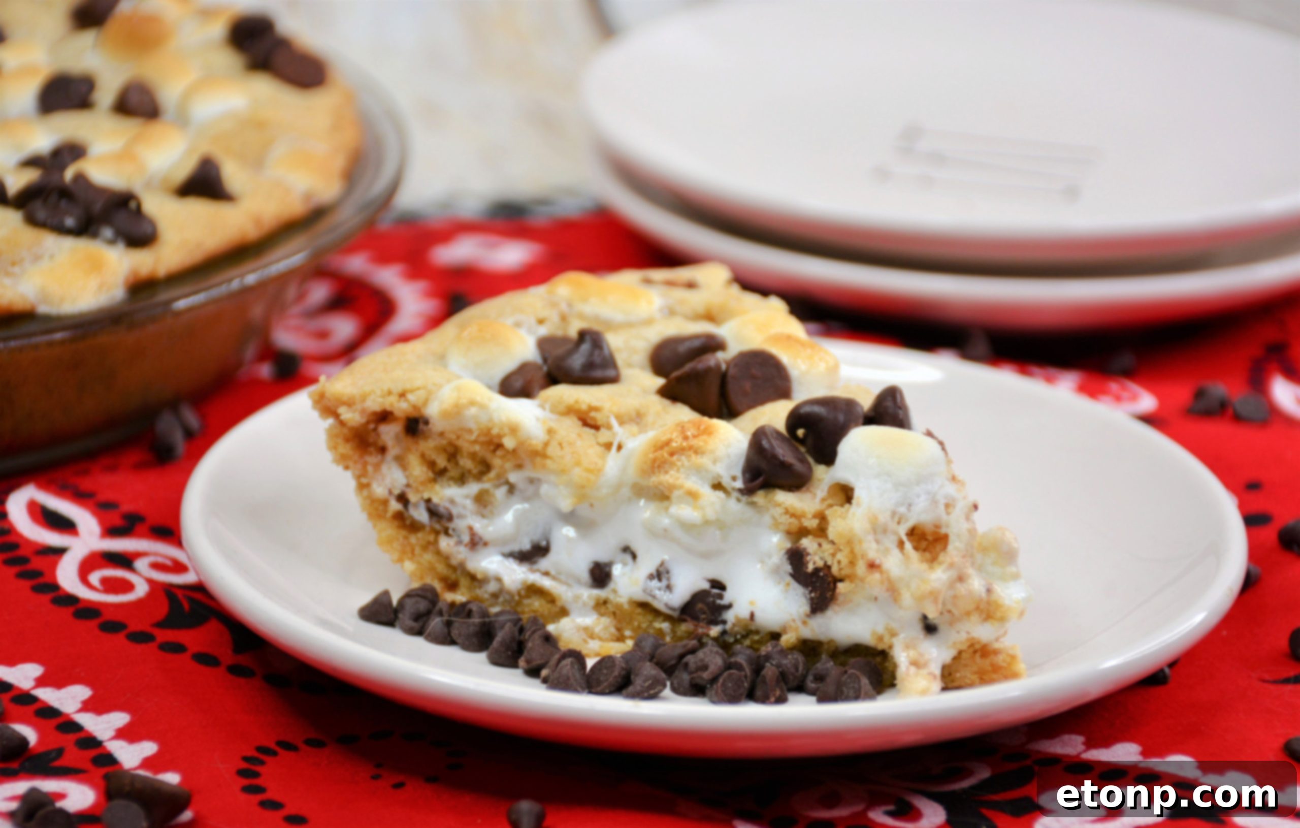 Cross-section view of S'mores Pie showing graham cracker crust, chocolate filling, and marshmallow