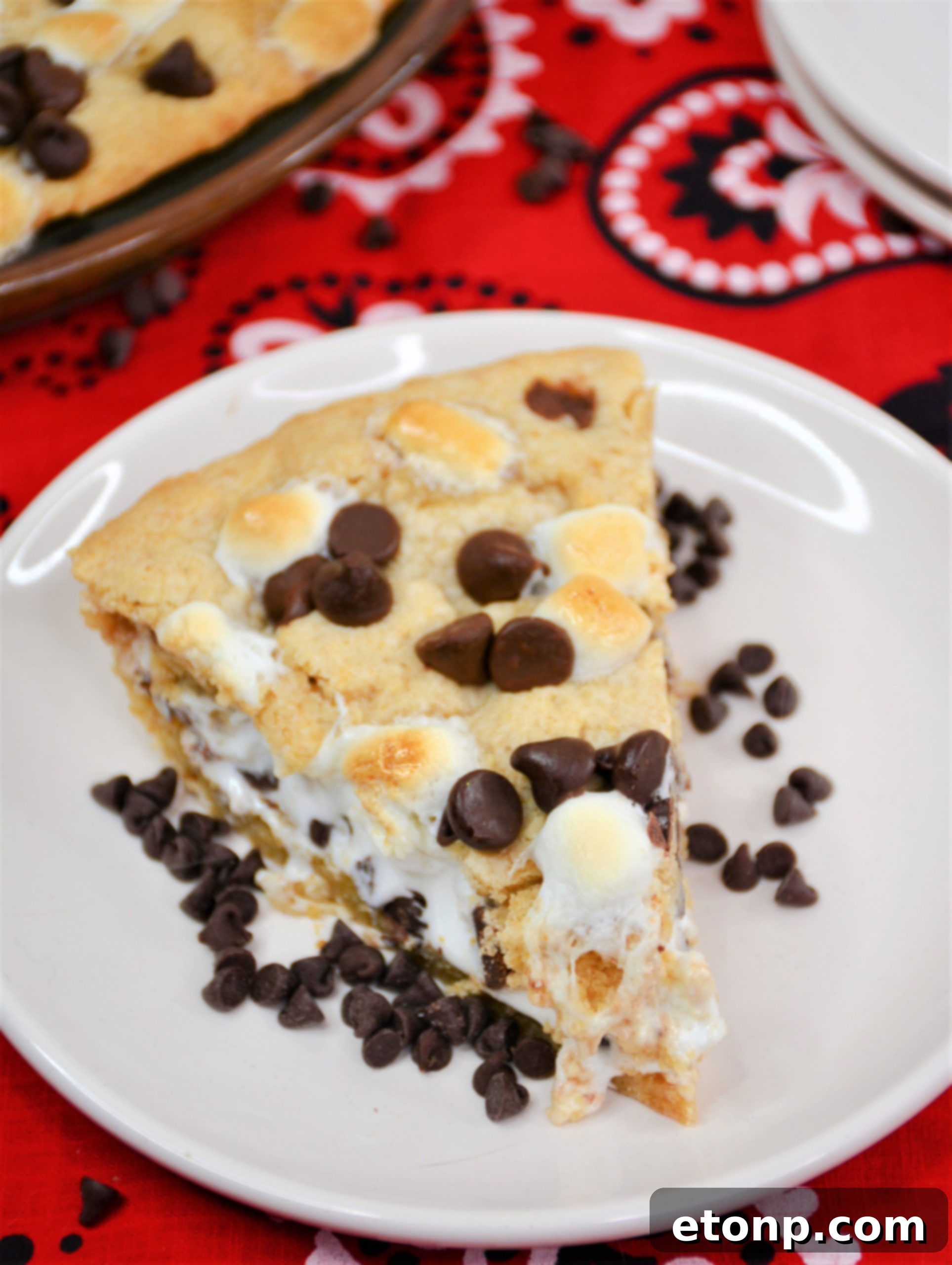 Toasted mini marshmallows on top of a homemade S'mores Pie