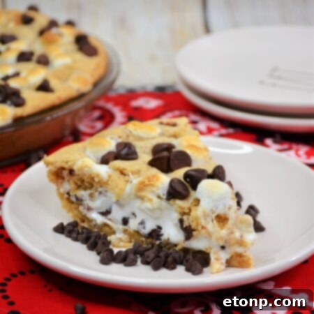 A perfectly baked S'mores Pie in a rustic setting.
