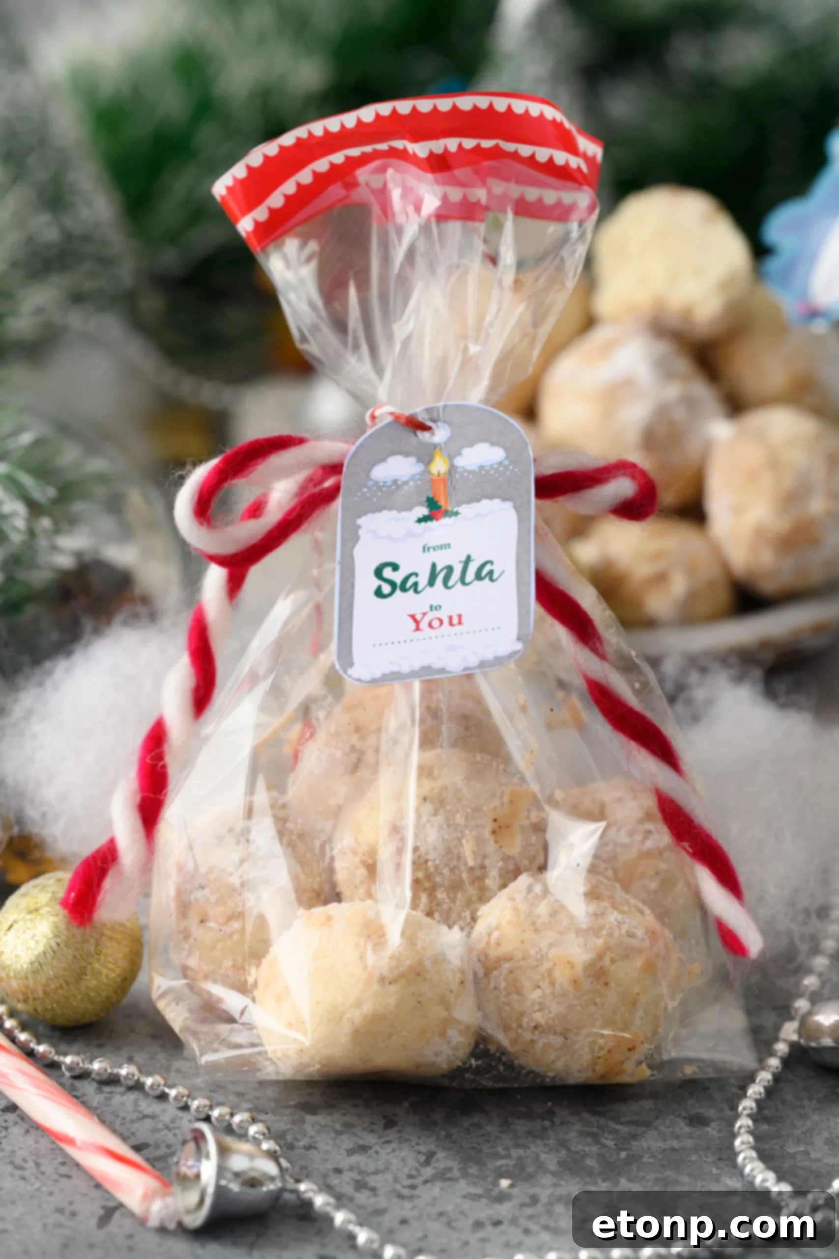 A close-up of a single Cinnamon Mexican Wedding Cookie, perfectly round and generously dusted with a sweet cinnamon-sugar coating, showcasing its delicate texture and inviting aroma.