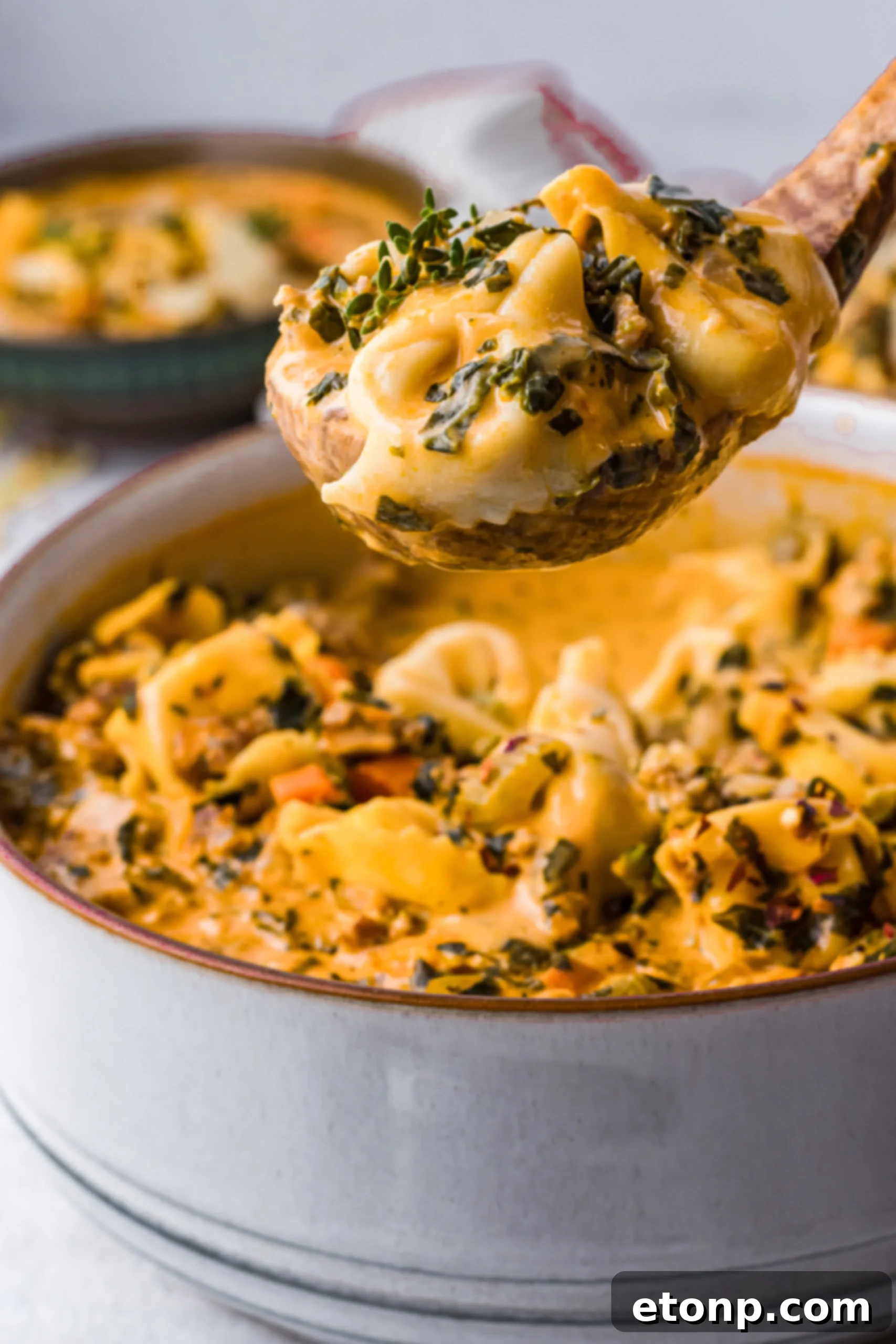 A bowl of creamy tortellini soup with Italian sausage and fresh herbs, garnished with parmesan, ready to be enjoyed.