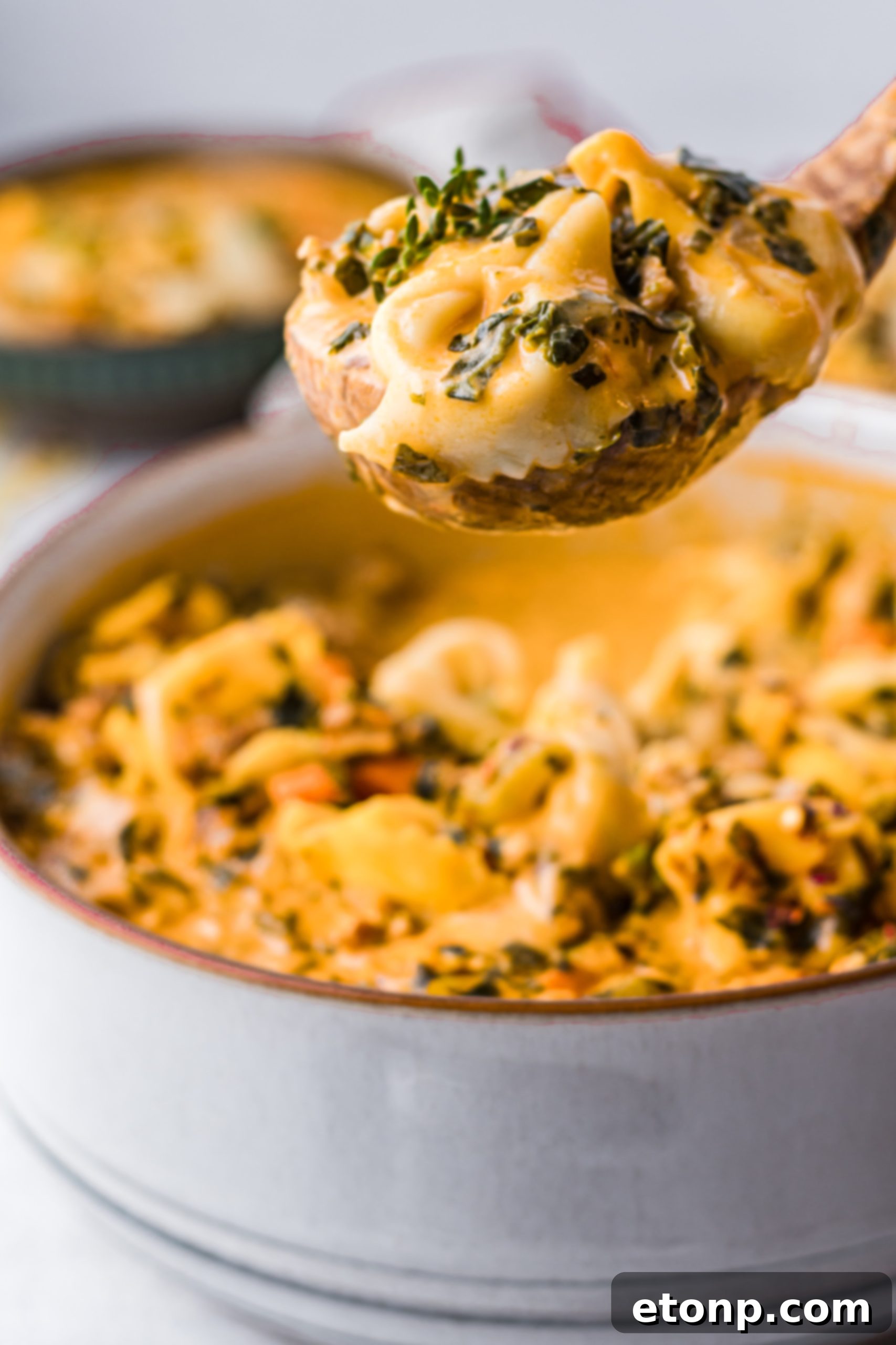 Slow cooker creamy tortellini soup in a white bowl, garnished with a sprig of fresh herb.