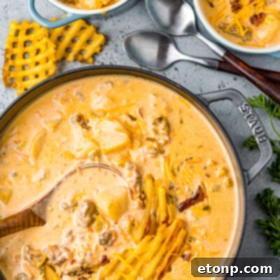 Slow Cooker Cheeseburger Soup in a bowl