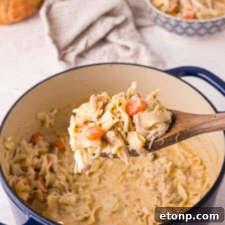 A bowl of the finished creamy chicken noodle soup, ready to be served.