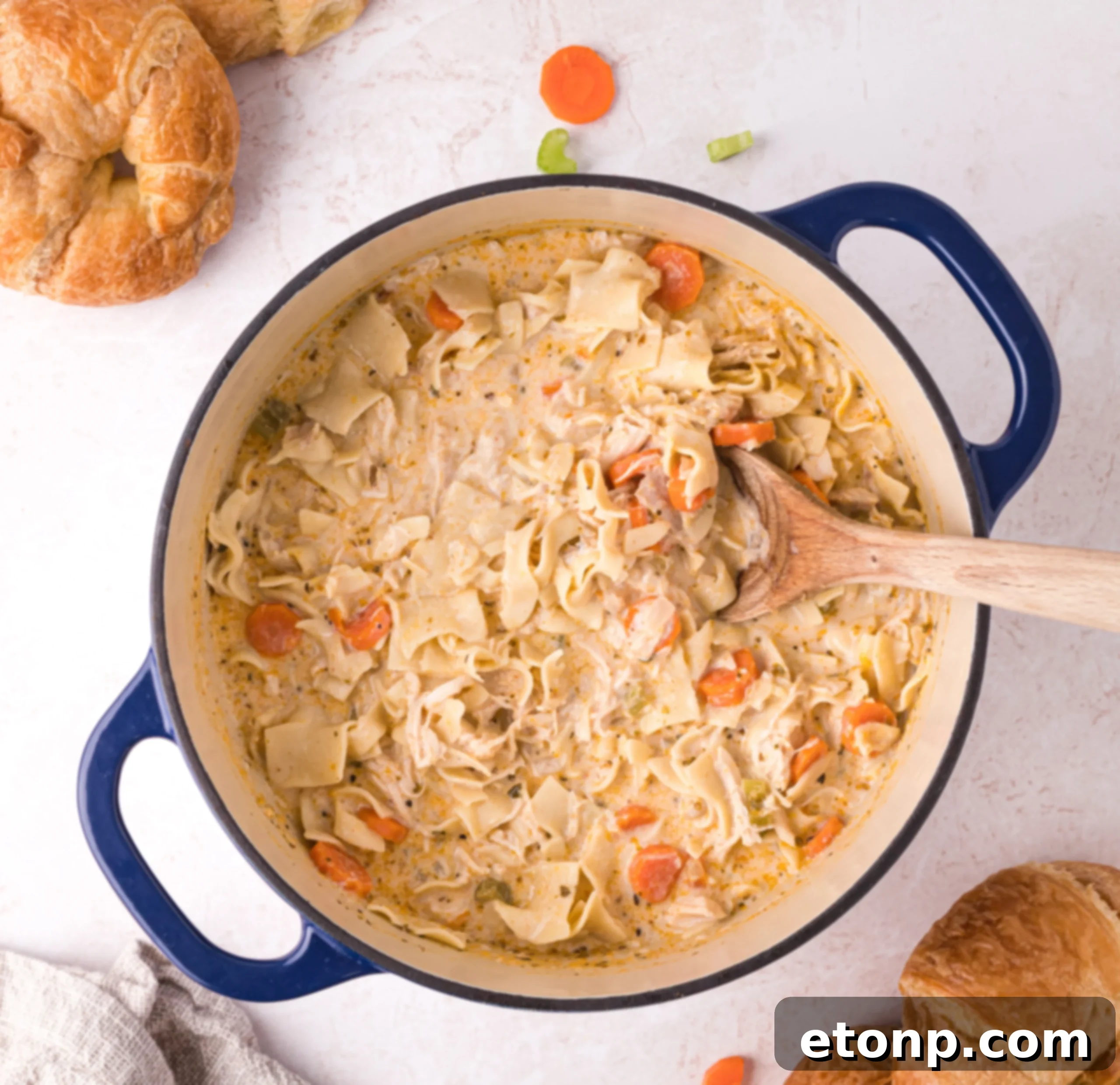 Various soup ingredients laid out on a wooden surface: carrots, celery, onion, chicken, herbs, and spices.