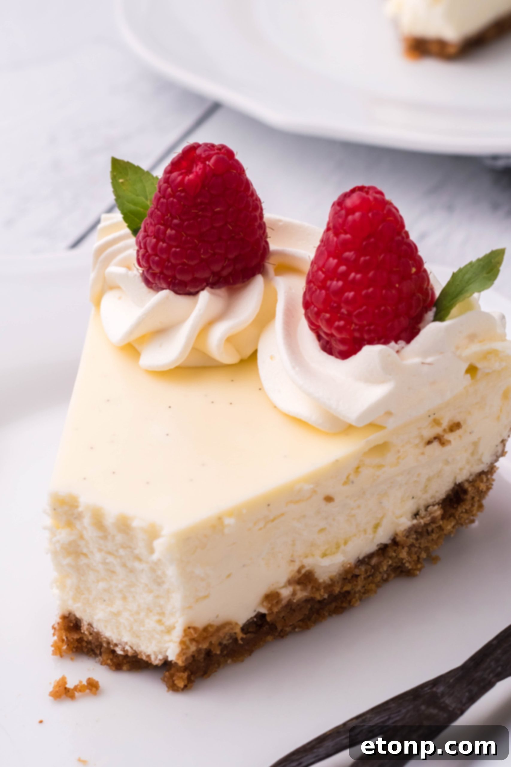 Velvet Vanilla Bean Cheesecake 2 A slice of perfect vanilla bean cheesecake with a rich, creamy texture and visible vanilla bean specks.