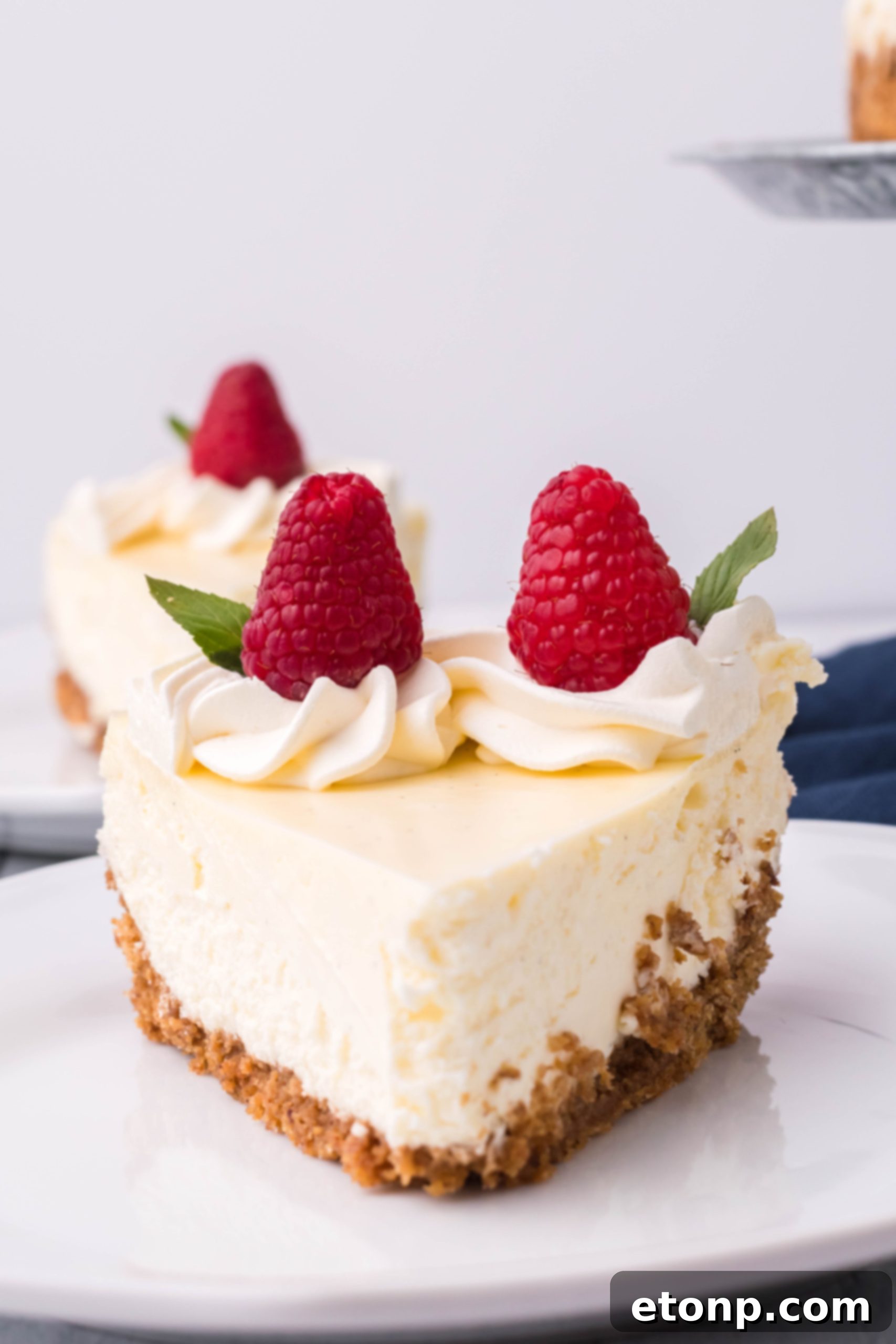 Velvet Vanilla Bean Cheesecake 12 A final inviting image of the full vanilla bean cheesecake, showcasing its presentation.