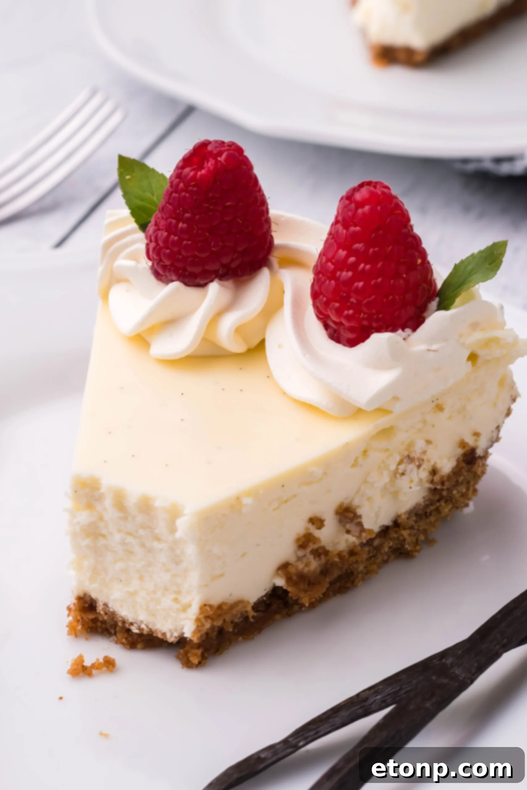 Velvet Vanilla Bean Cheesecake 13 A beautifully presented slice of vanilla bean cheesecake, ready to be served.