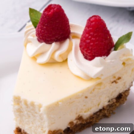 Velvet Vanilla Bean Cheesecake 14 Vanilla Bean Cheesecake