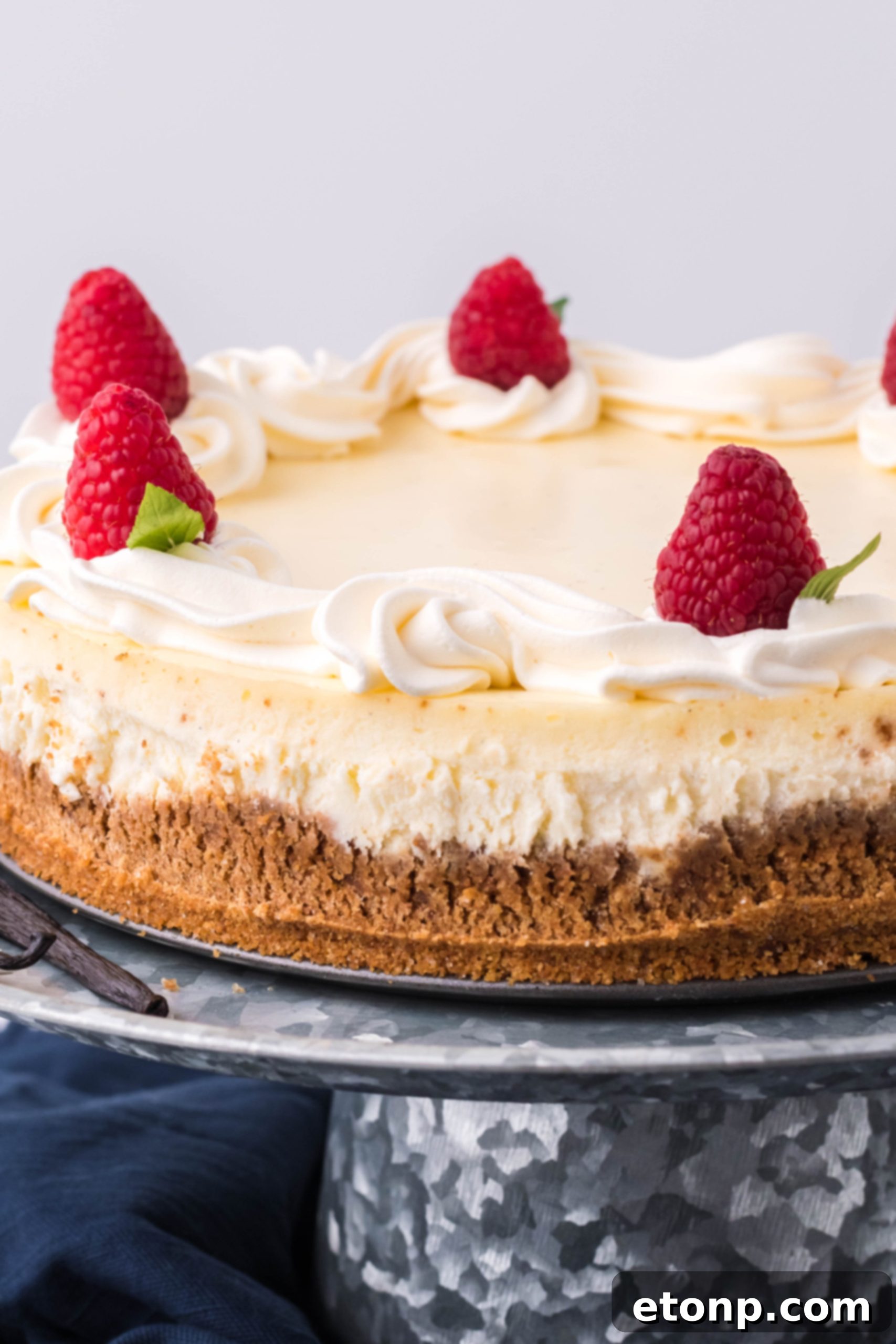 Velvet Vanilla Bean Cheesecake 3 Whole vanilla bean cheesecake, showing its smooth, golden-brown top and a perfectly baked crust.