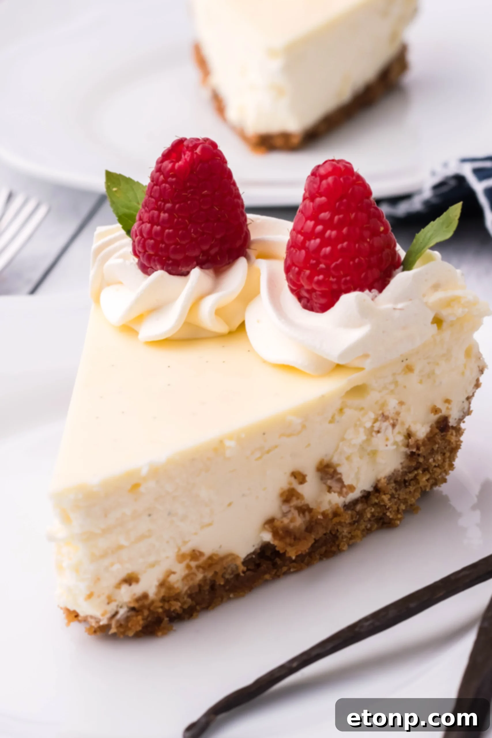 Velvet Vanilla Bean Cheesecake 4 Close-up of the side of a vanilla bean cheesecake, highlighting the thick, buttery crust and creamy filling.