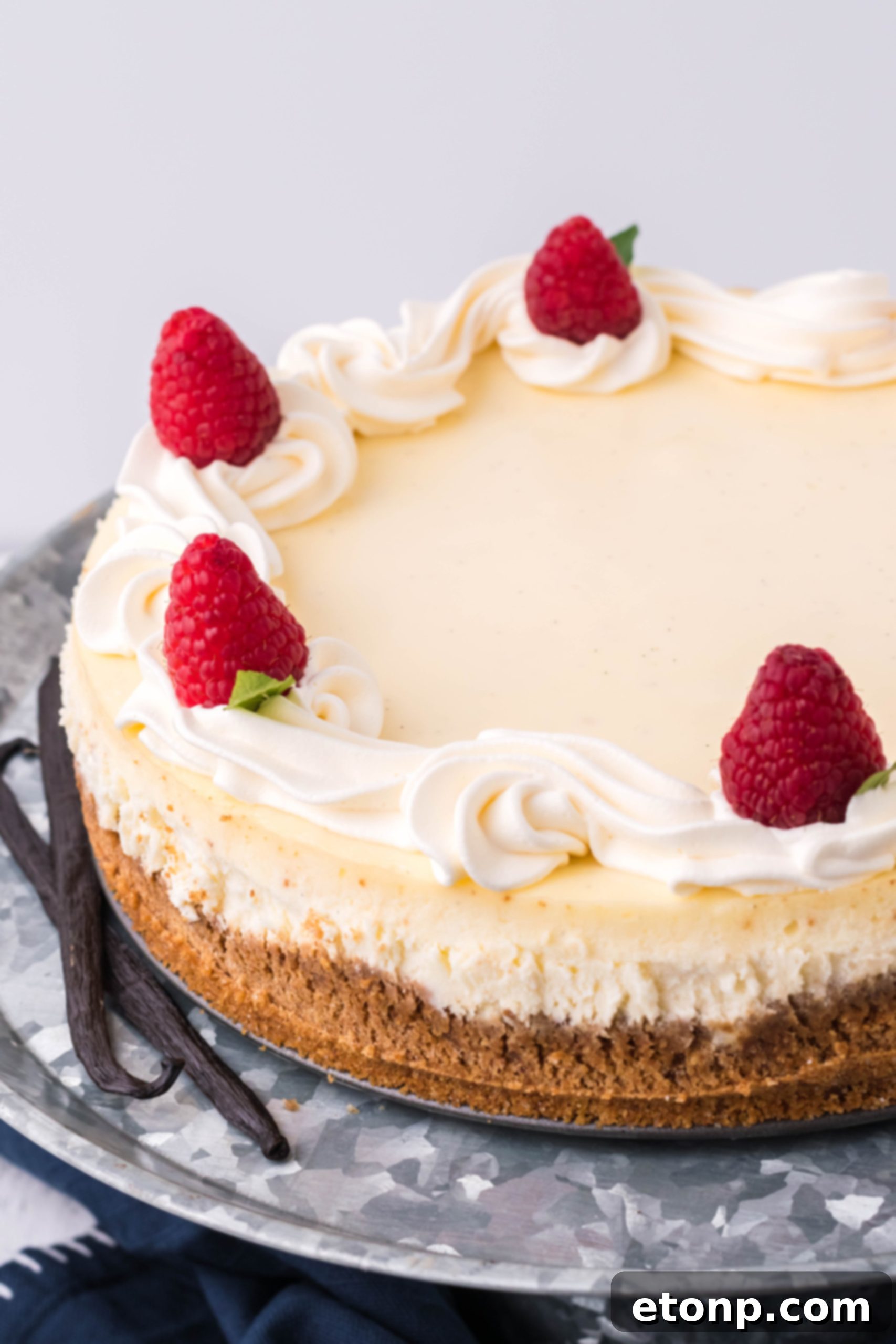 Velvet Vanilla Bean Cheesecake 5 Overhead shot of a full vanilla bean cheesecake ready for serving, showcasing its pristine surface.