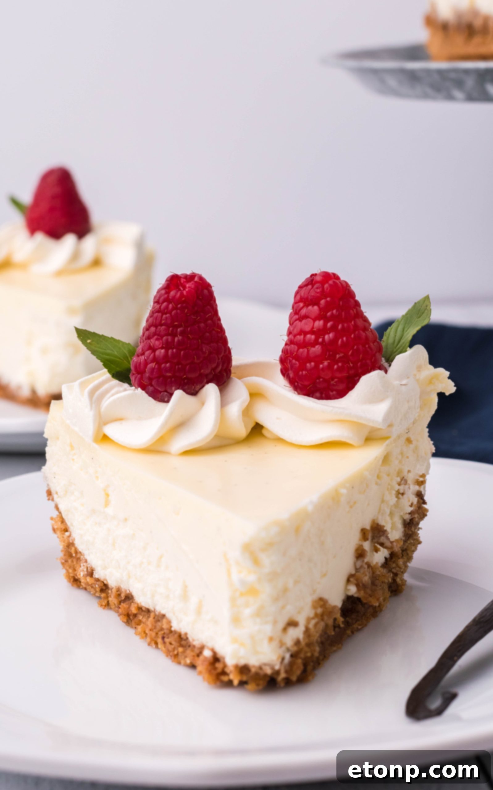 Velvet Vanilla Bean Cheesecake 6 Another beautiful shot of the vanilla bean cheesecake, showcasing its elegant simplicity.