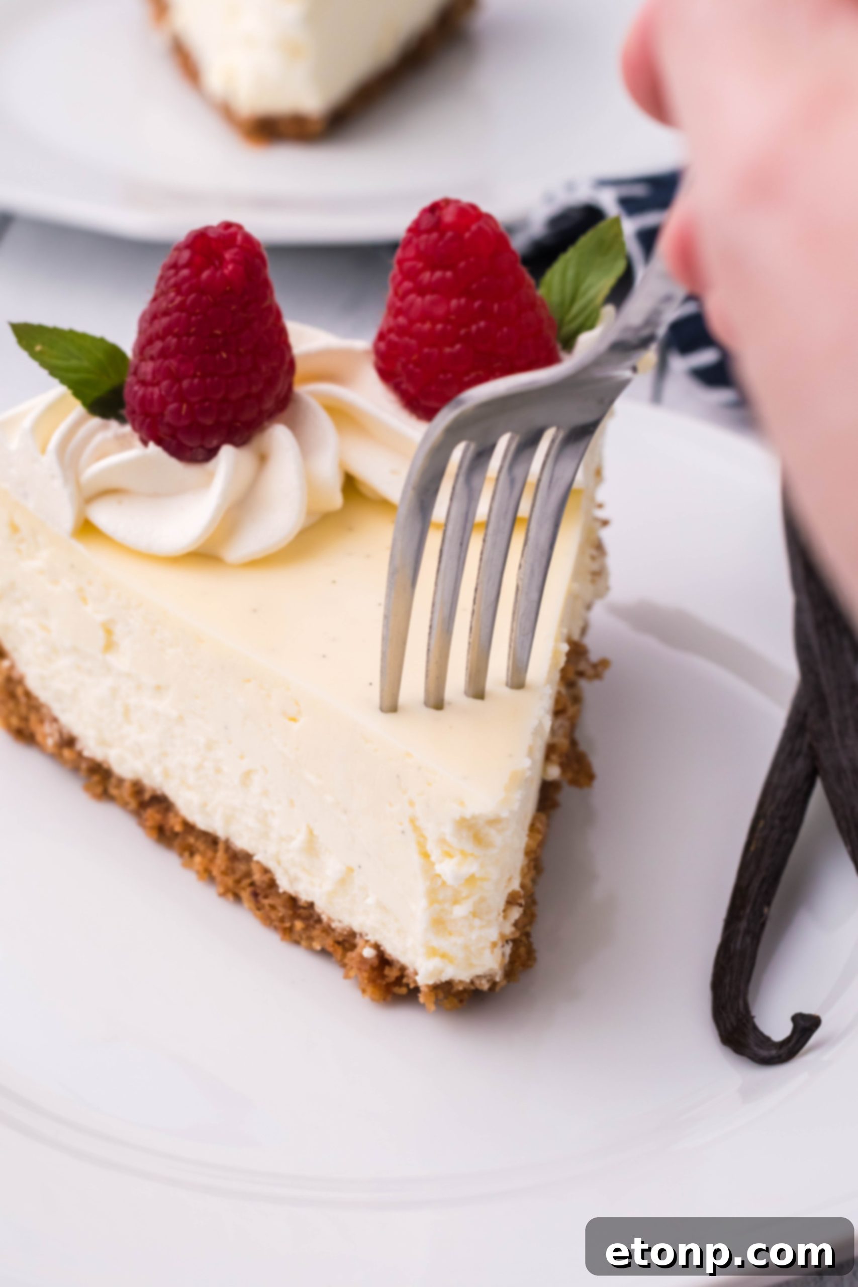 Velvet Vanilla Bean Cheesecake 7 Close-up on a freshly baked vanilla bean cheesecake, showing its perfectly set surface.