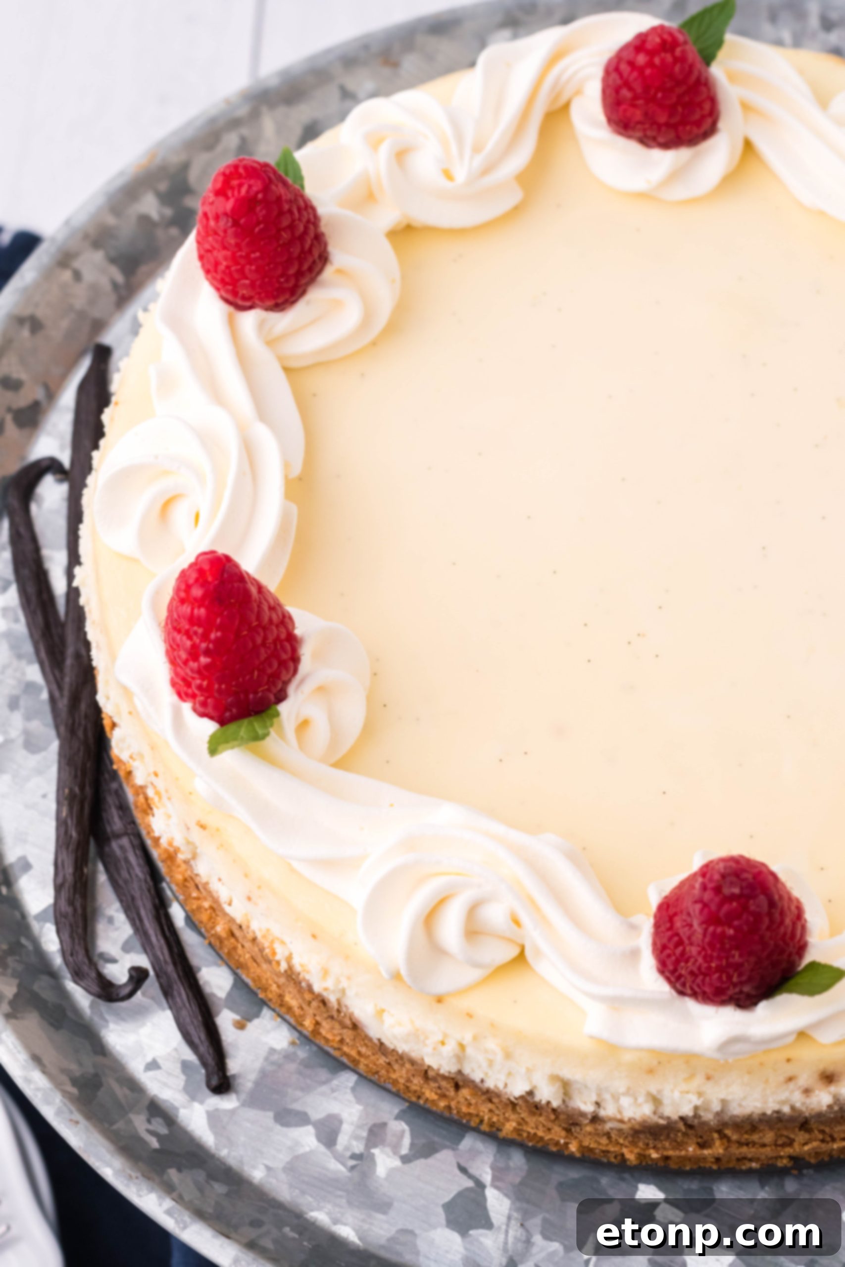 Velvet Vanilla Bean Cheesecake 8 A high-angle shot of the Vanilla Bean Cheesecake, emphasizing its impressive height and creamy texture.