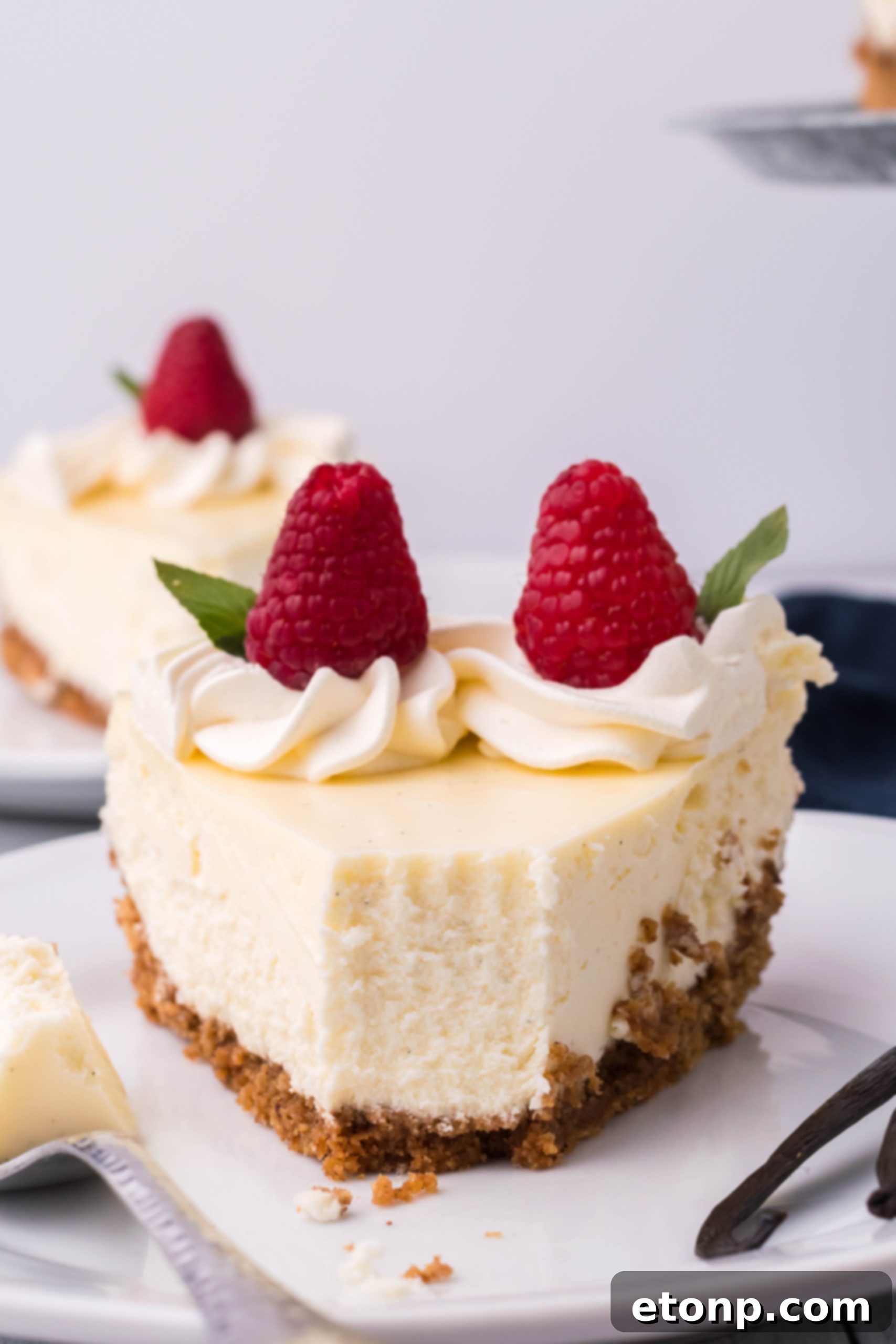 Velvet Vanilla Bean Cheesecake 10 An enticing shot of a slice of vanilla bean cheesecake, showcasing its creamy texture.