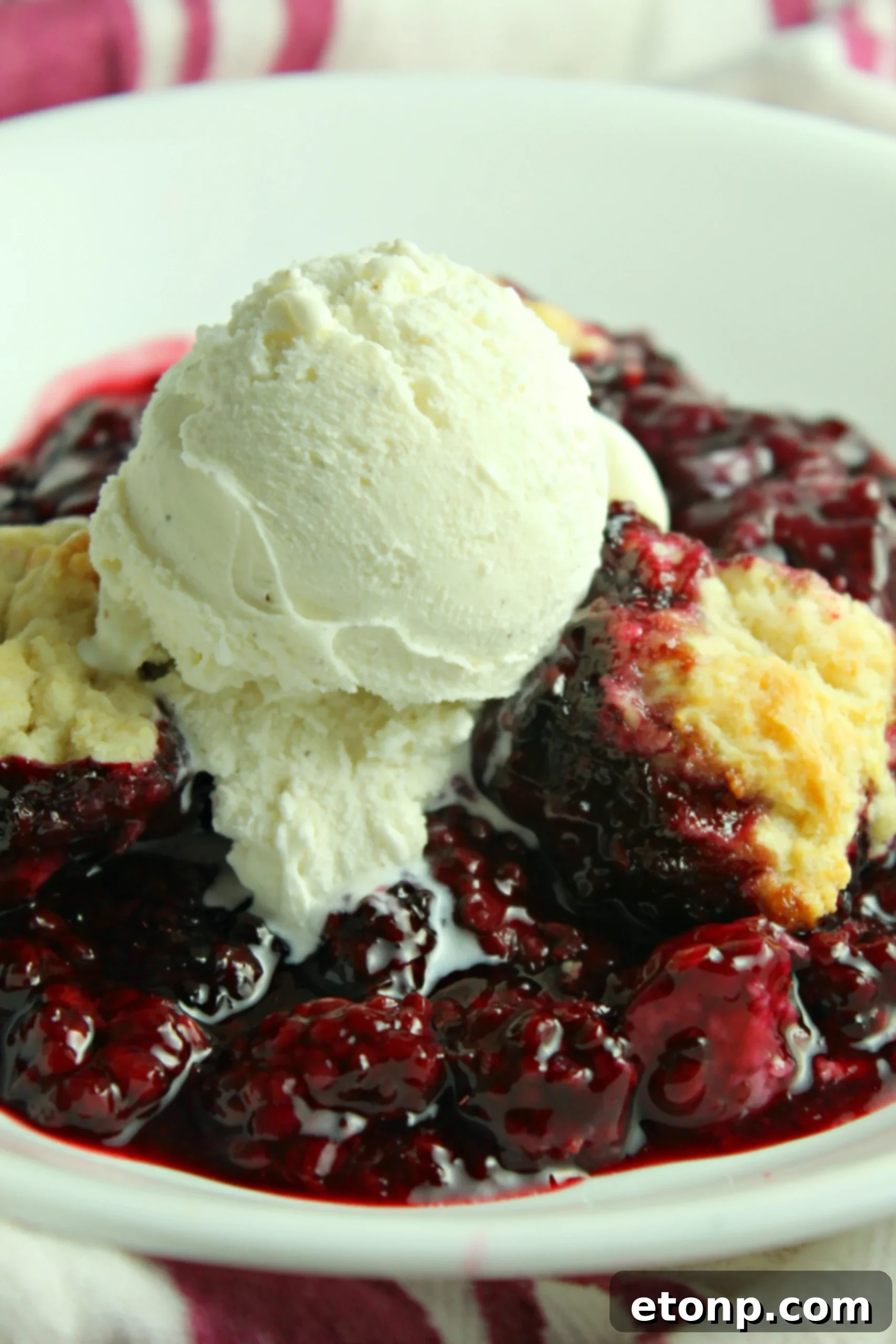 Homemade Blackberry Cobbler served with vanilla ice cream
