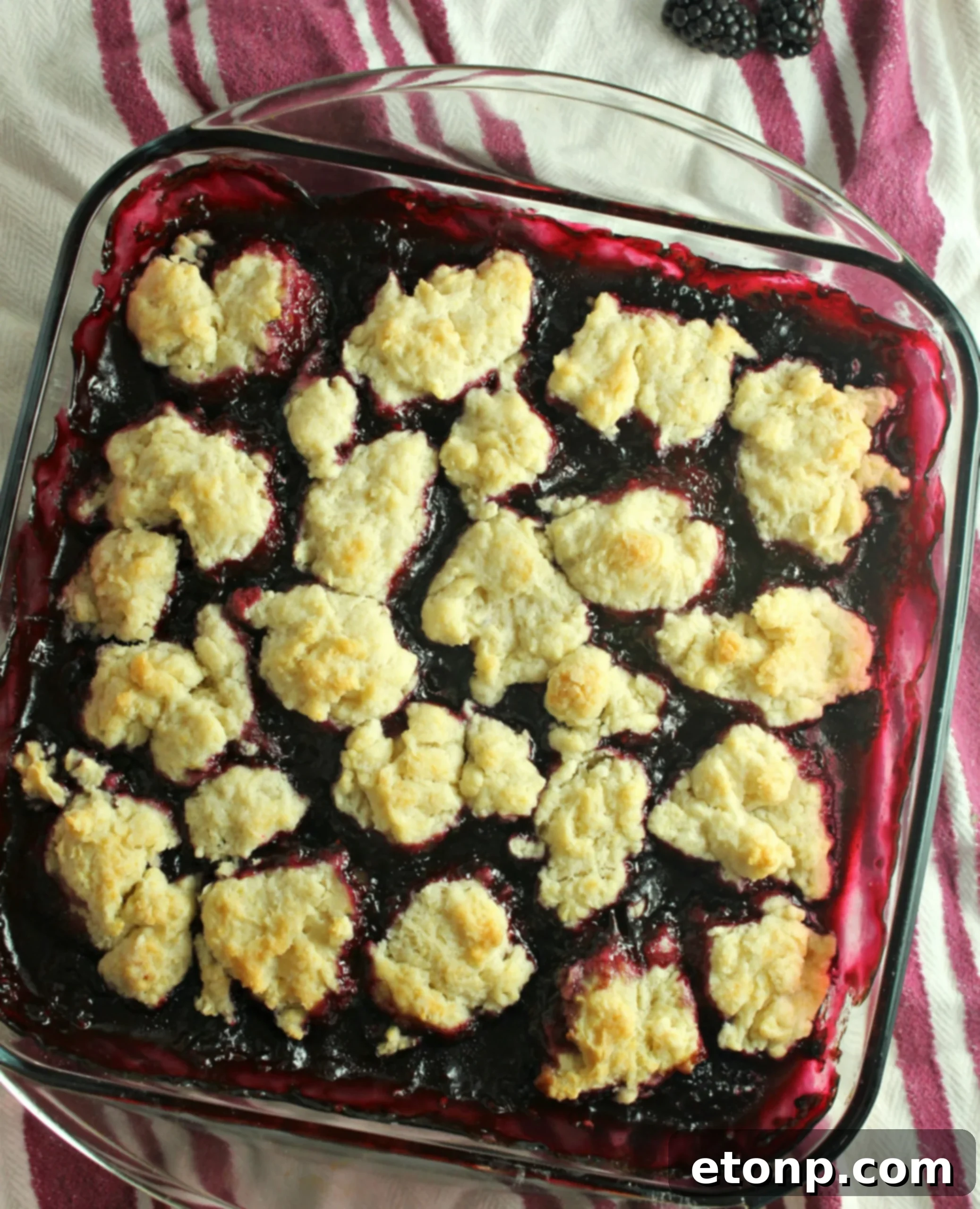 Close-up of baked blackberry cobbler with golden topping