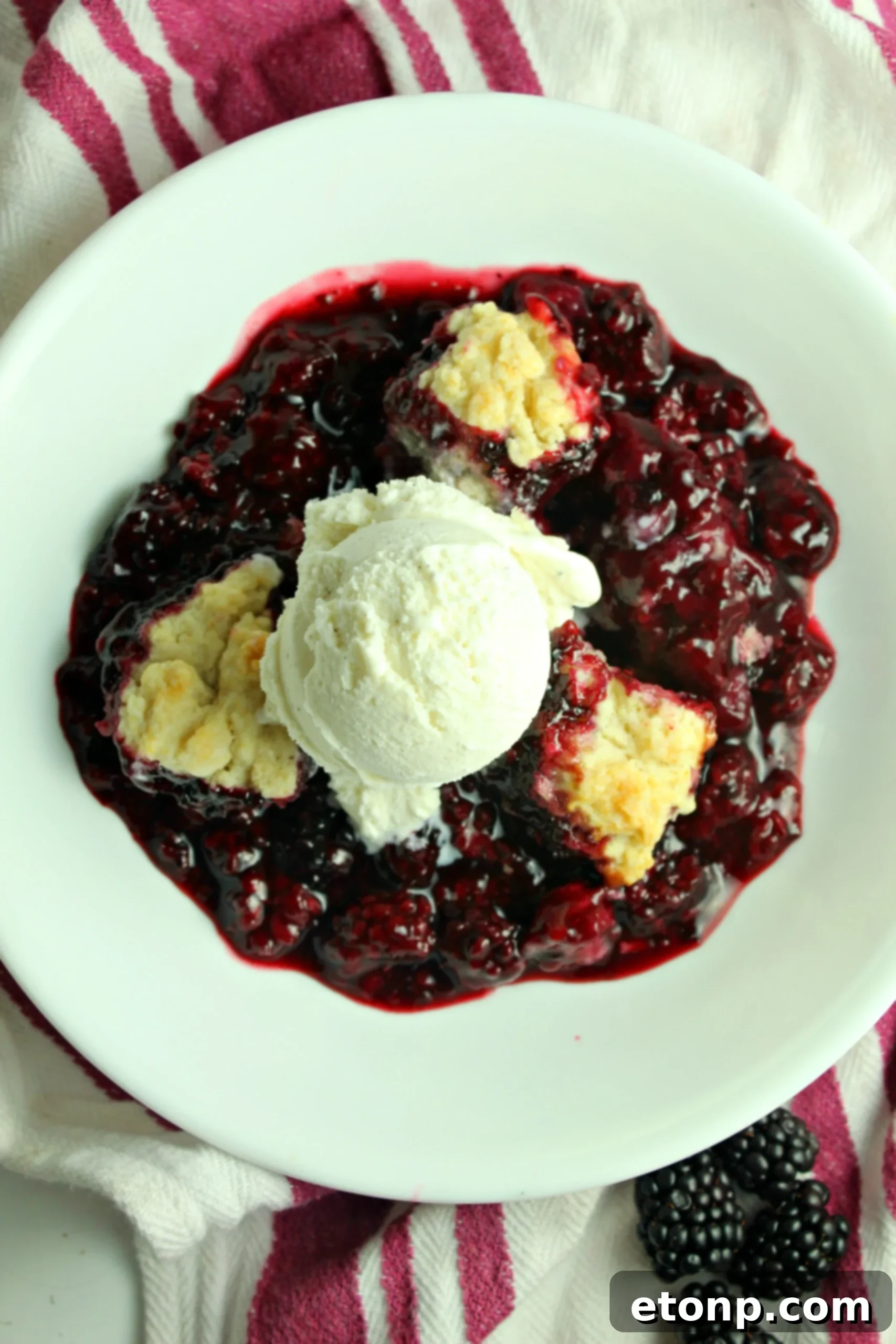 Blackberry cobbler fresh out of the oven