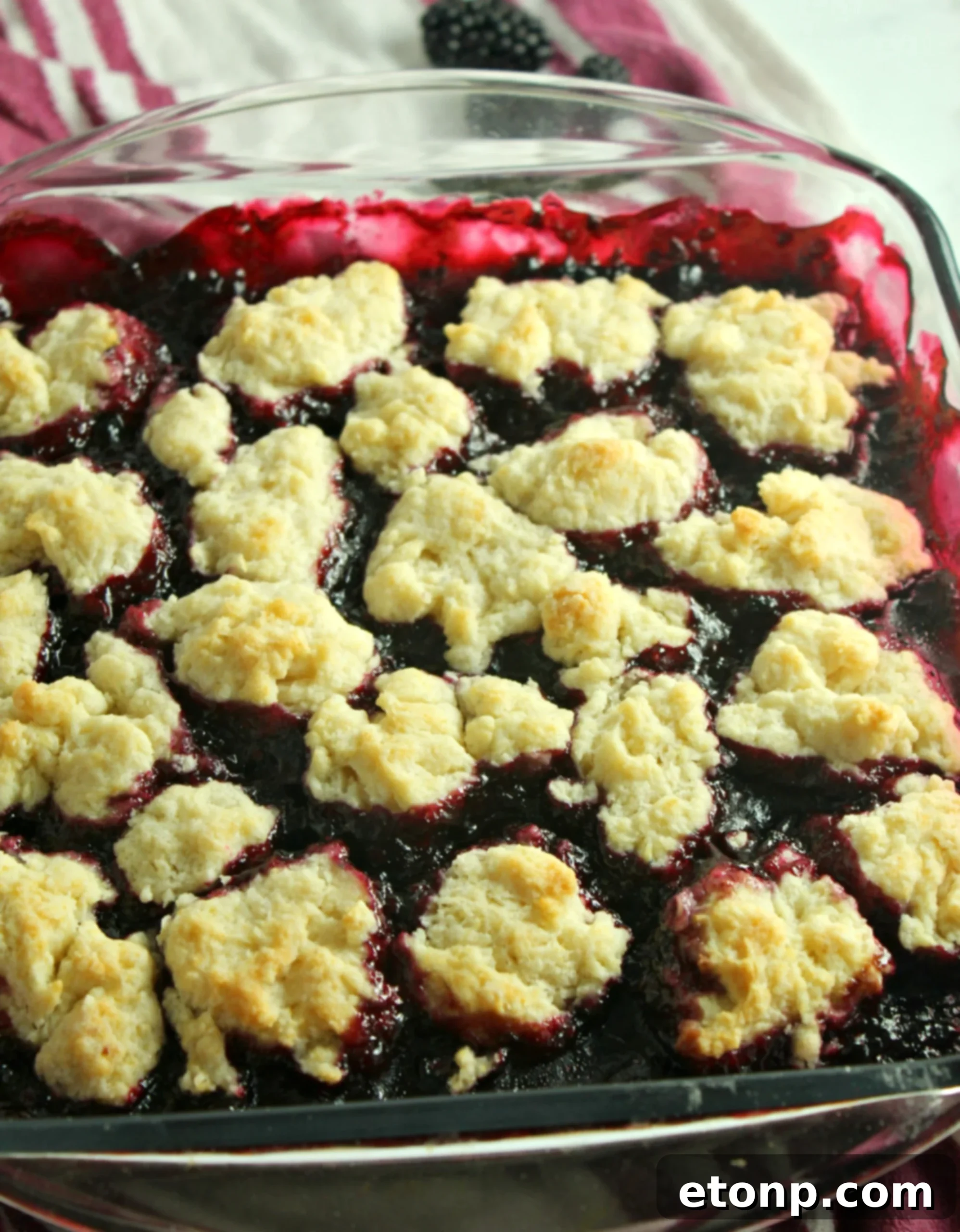 Delicious blackberry cobbler with berries visible