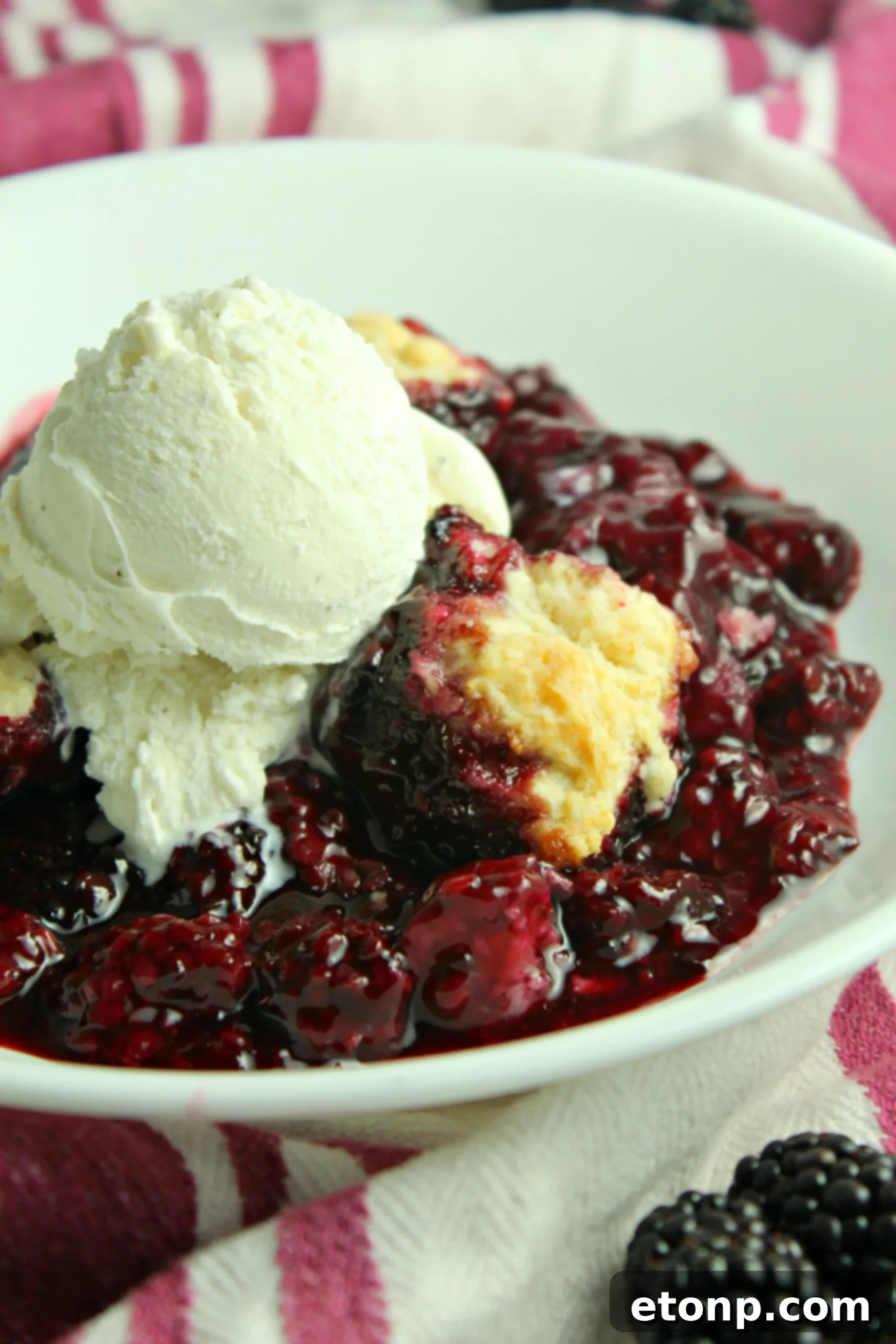 Homemade Blackberry Cobbler topped with vanilla ice cream
