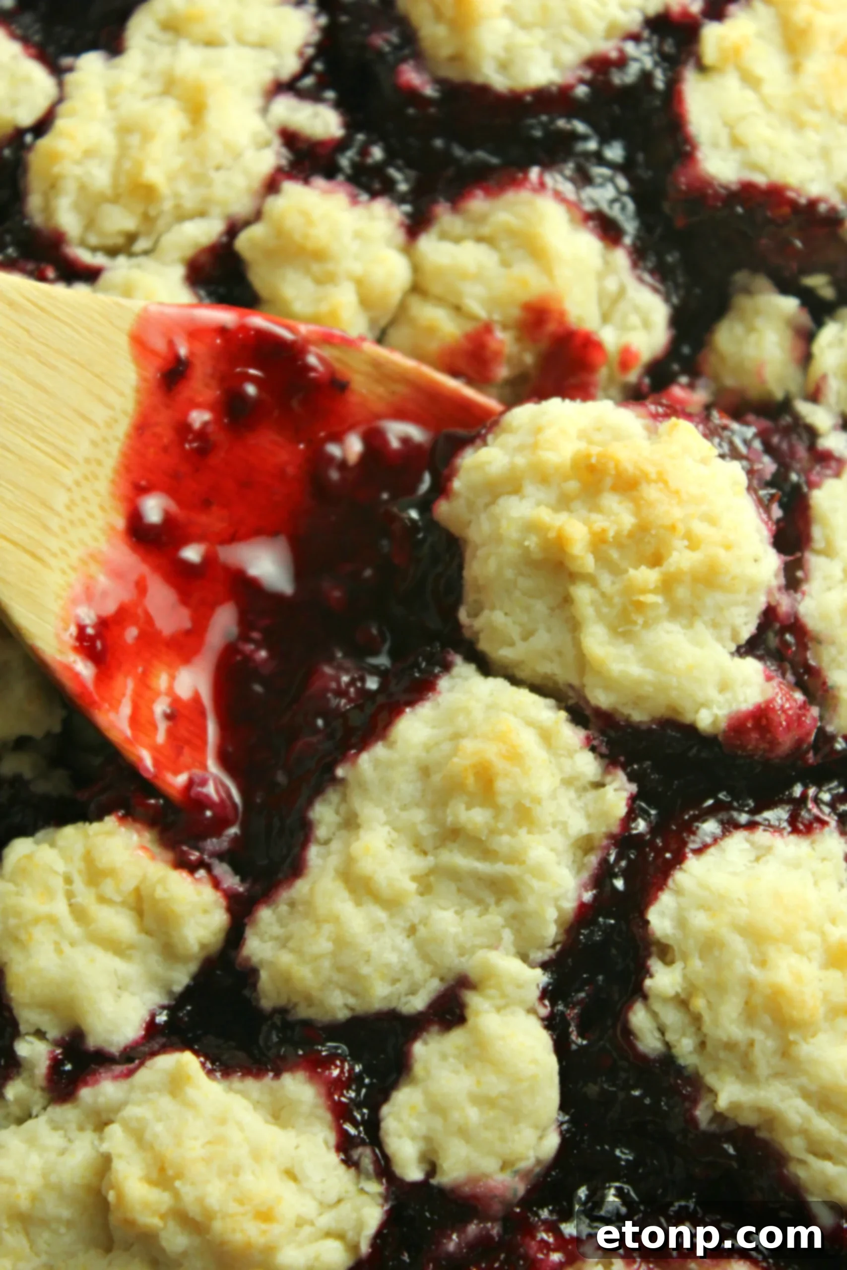 Fresh blackberries ready for baking