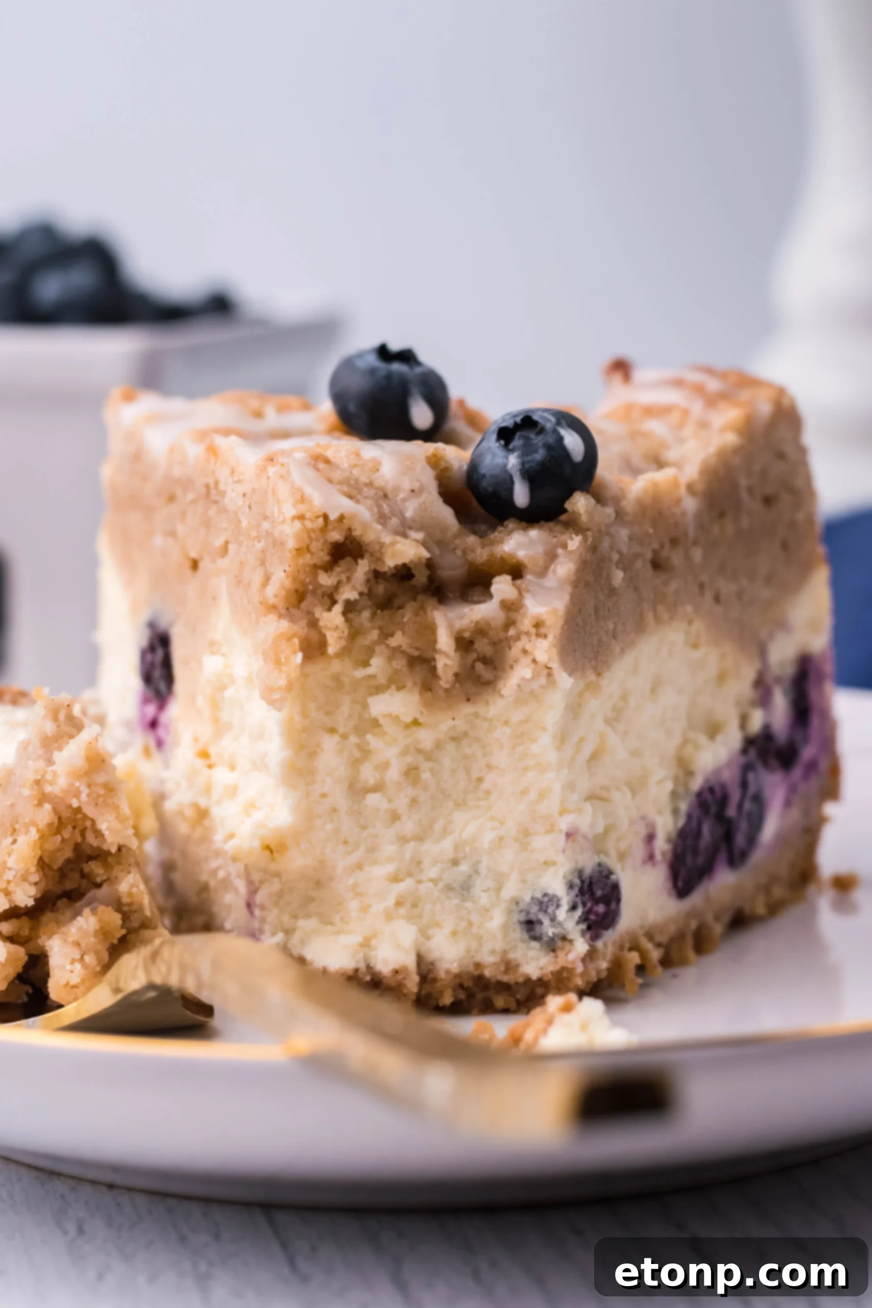 Blueberry Streusel Cheesecake 2 Delicious Blueberry Coffee Cake Cheesecake slice