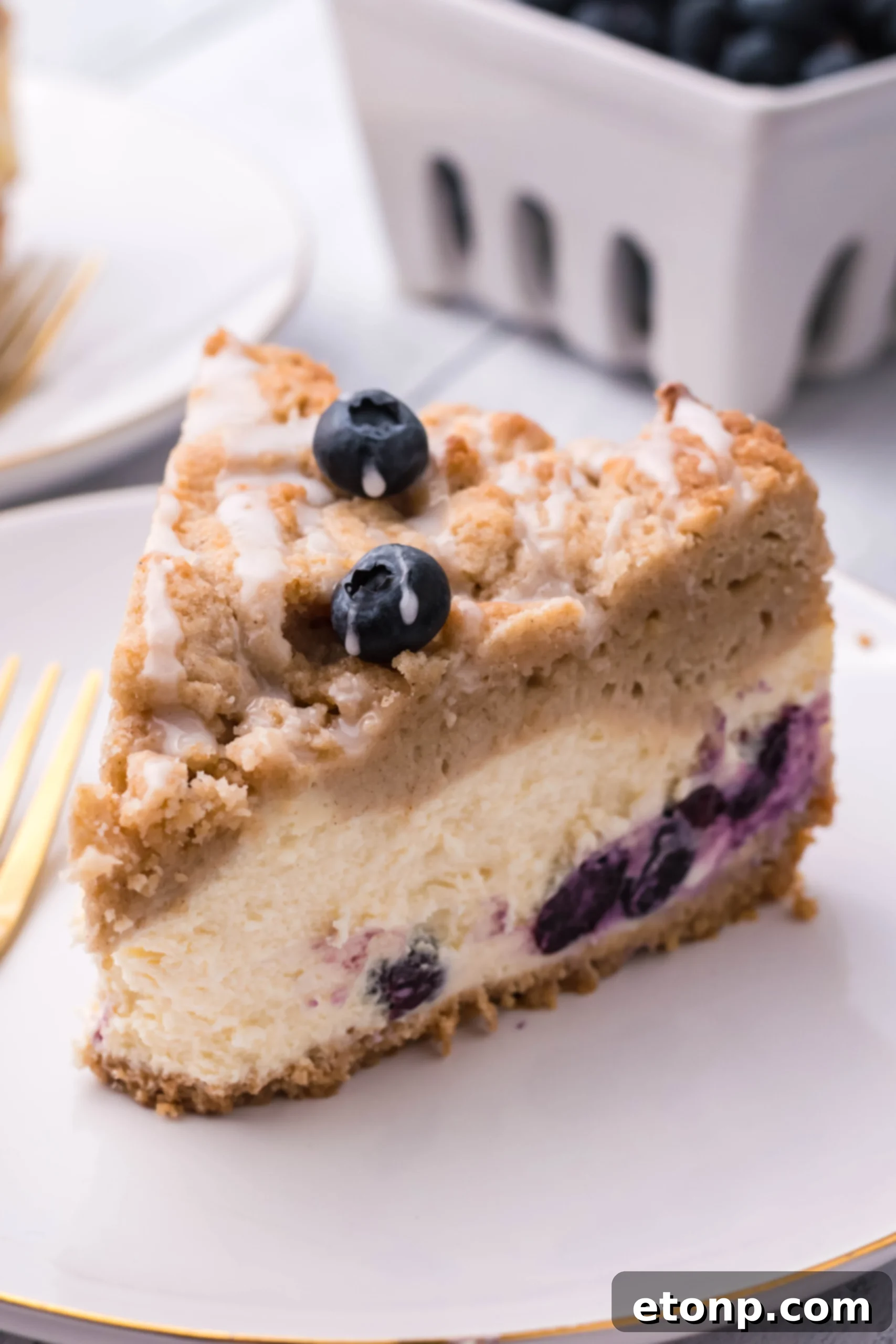 Blueberry Streusel Cheesecake 11 Cheesecake cooling