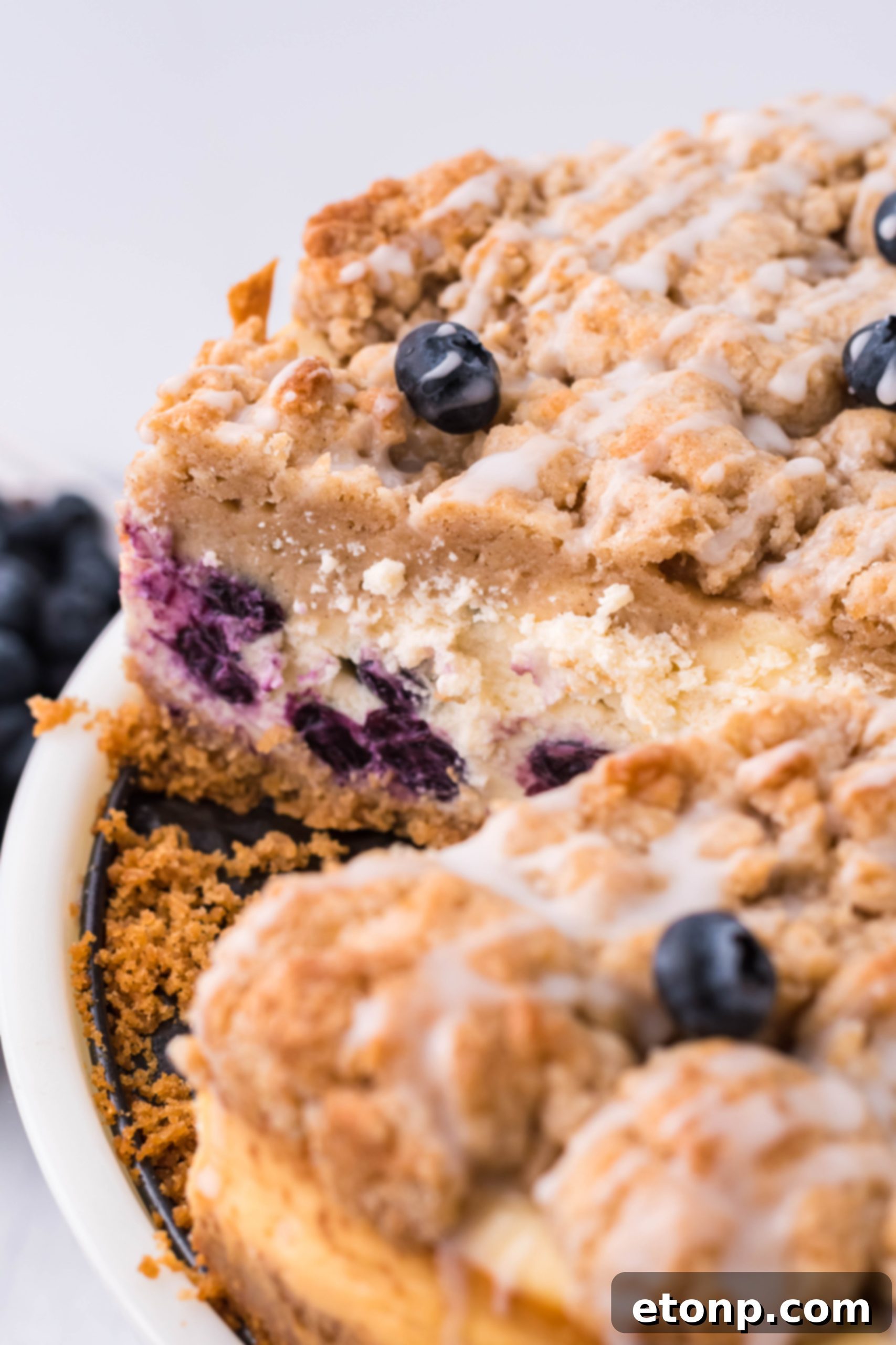 Blueberry Streusel Cheesecake 12 Vanilla extract bottle