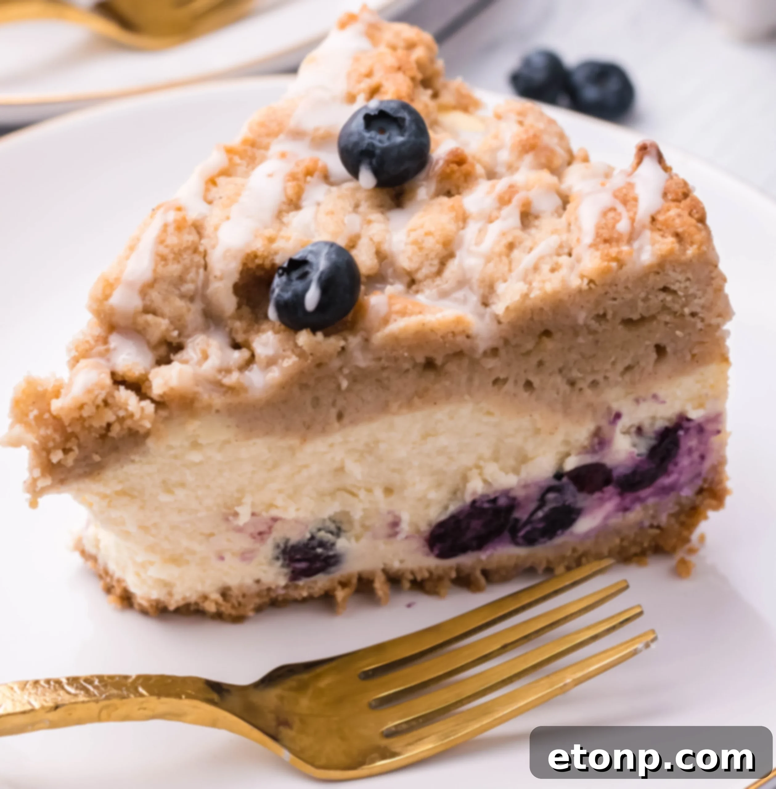 Blueberry Streusel Cheesecake 13 Fresh blueberries