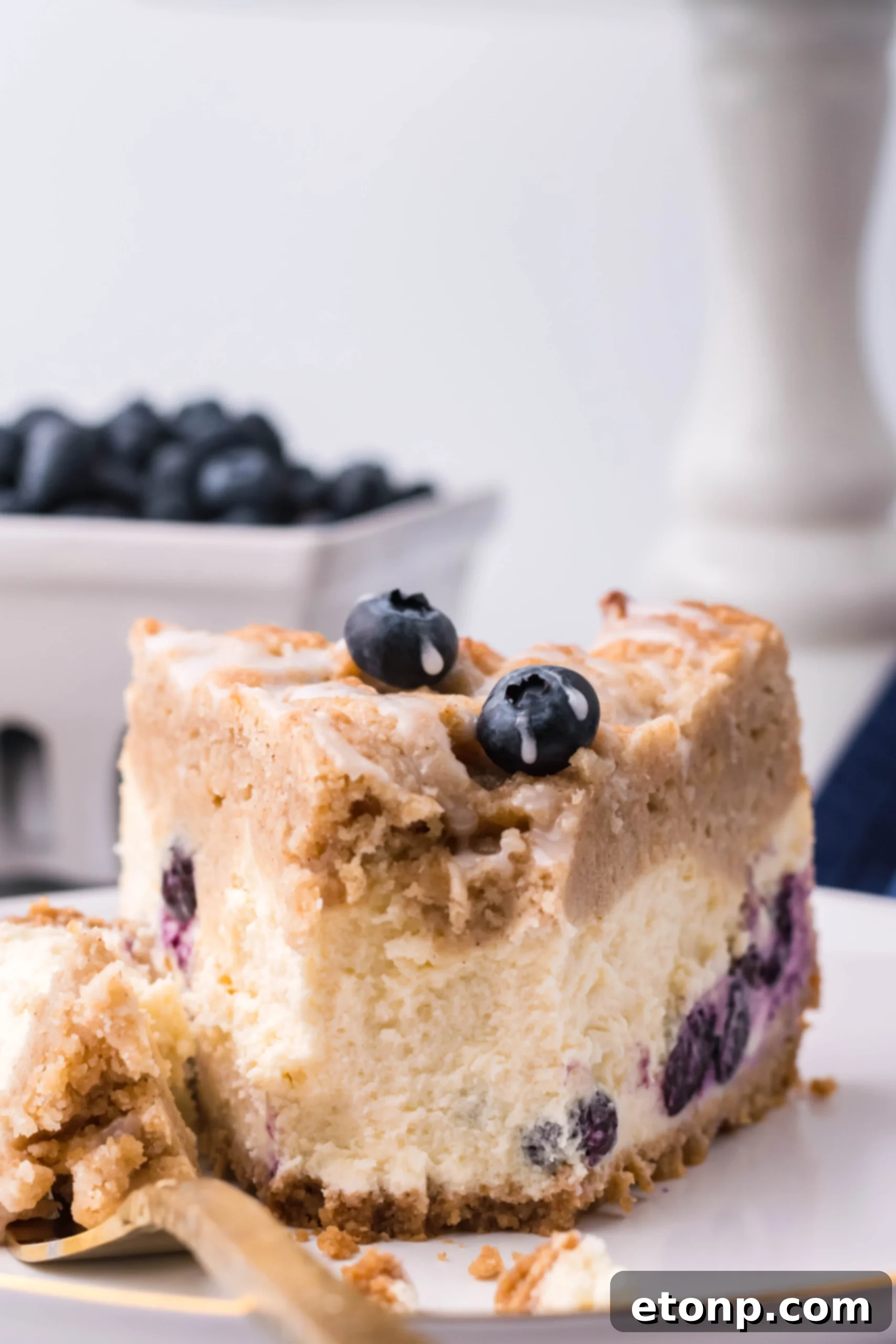 Blueberry Streusel Cheesecake 14 Full blueberry coffee cake cheesecake