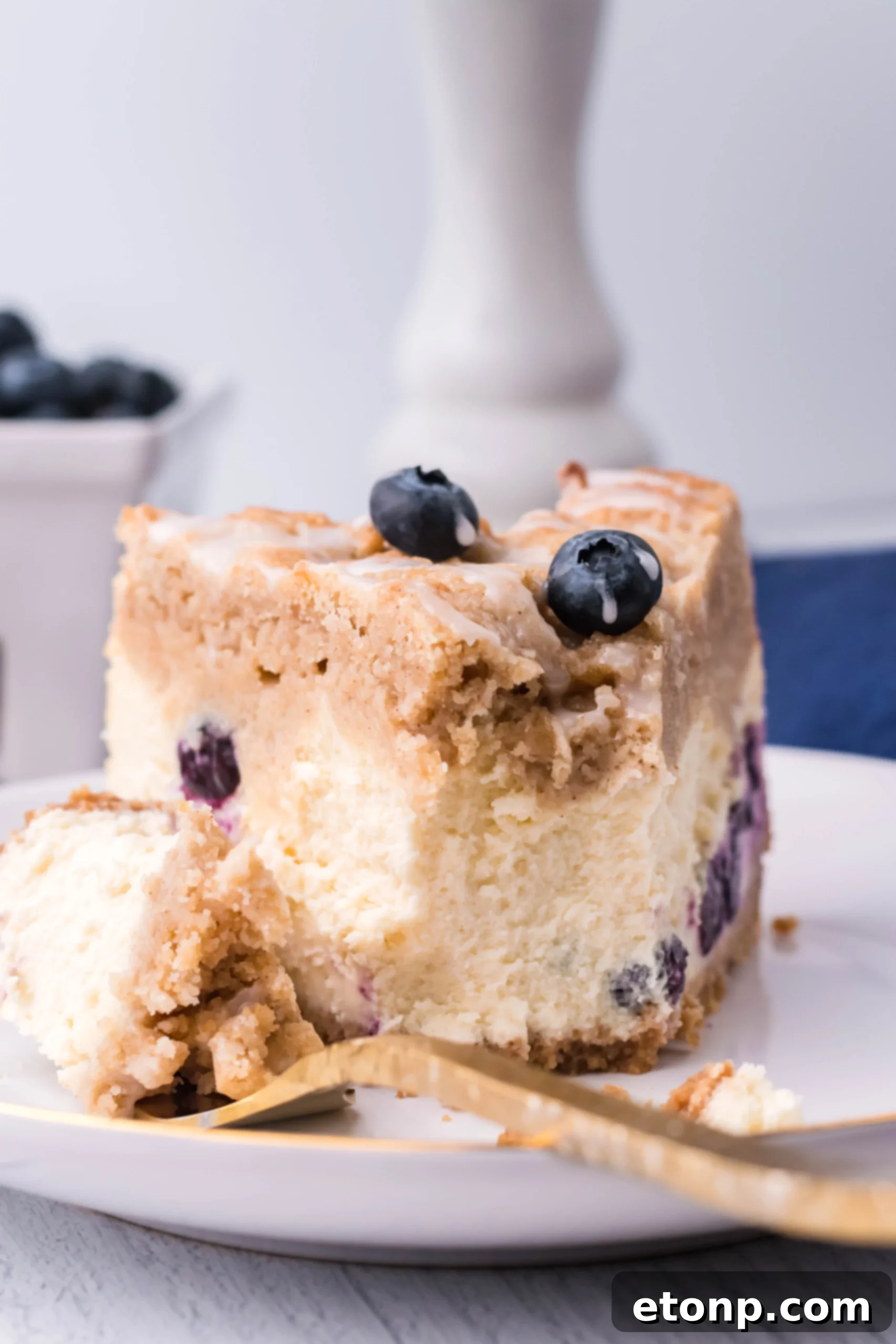Blueberry Streusel Cheesecake 4 Close-up of blueberry coffee cake cheesecake filling