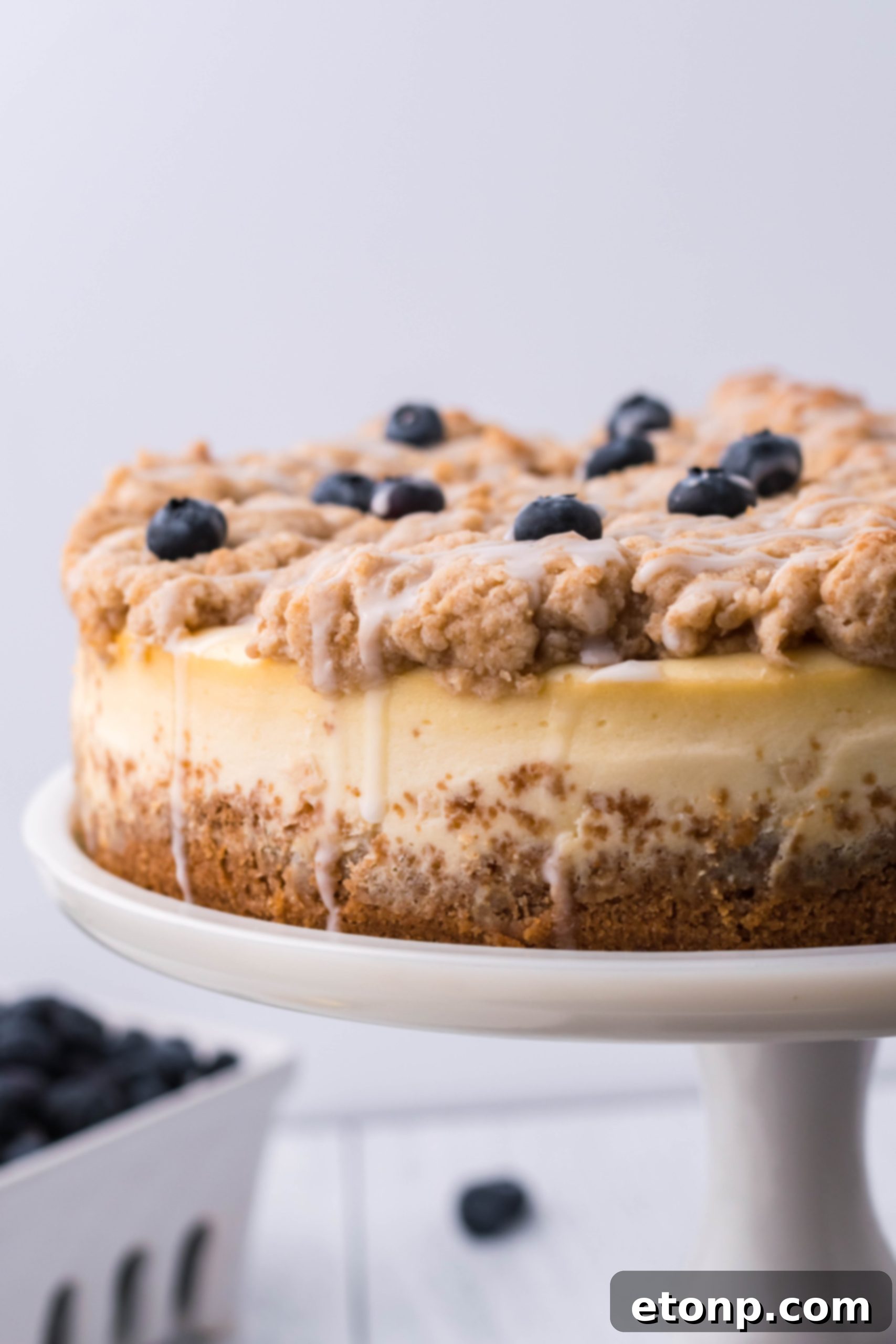Blueberry Streusel Cheesecake 5 Blueberry coffee cake cheesecake with a fork