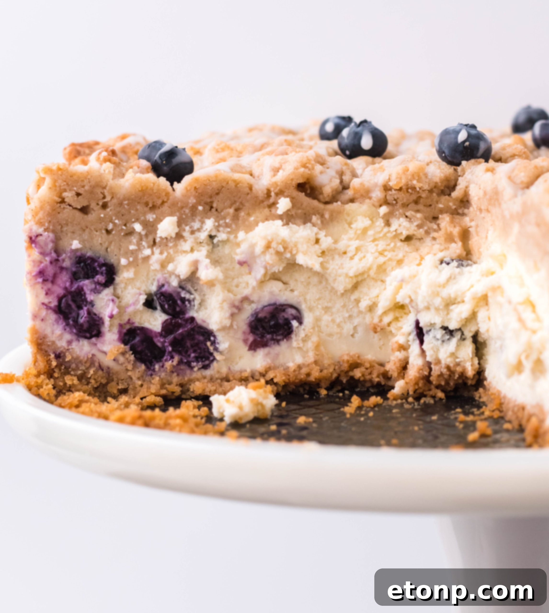 Blueberry Streusel Cheesecake 6 Blueberry Coffee Cake Cheesecake on a cooling rack