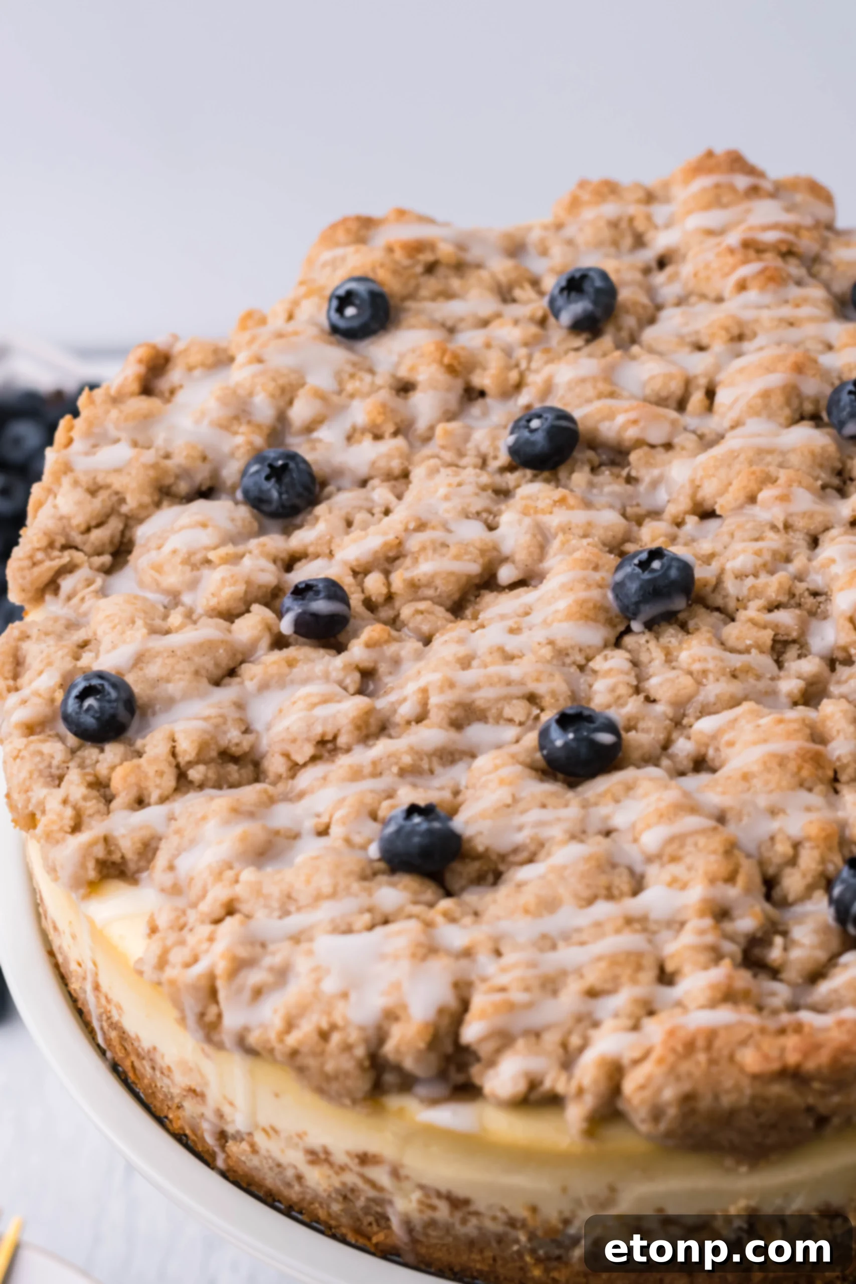 Blueberry Streusel Cheesecake 7 Slice of blueberry coffee cake cheesecake