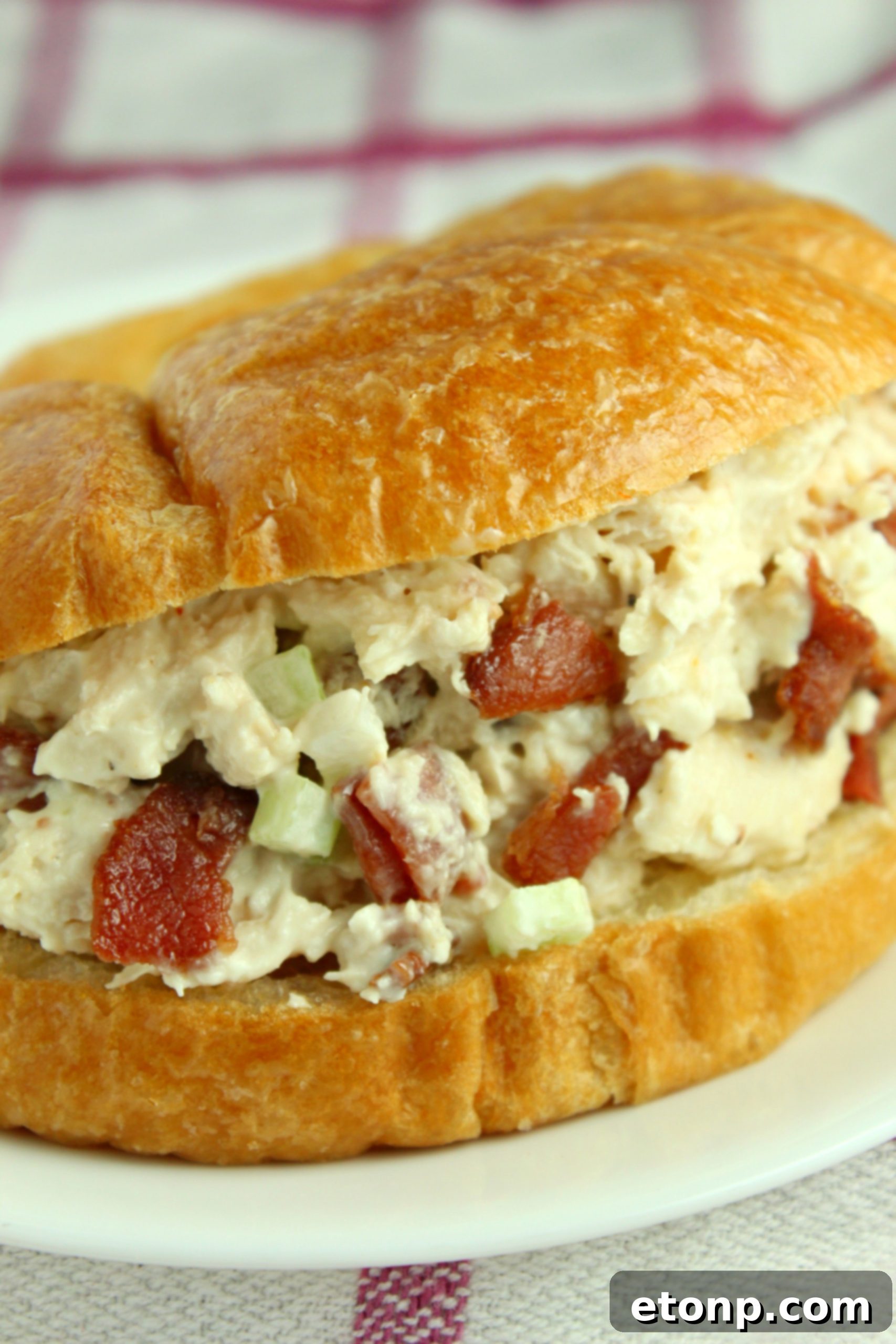 Willow Tree Chicken Salad with bacon, served on a croissant.