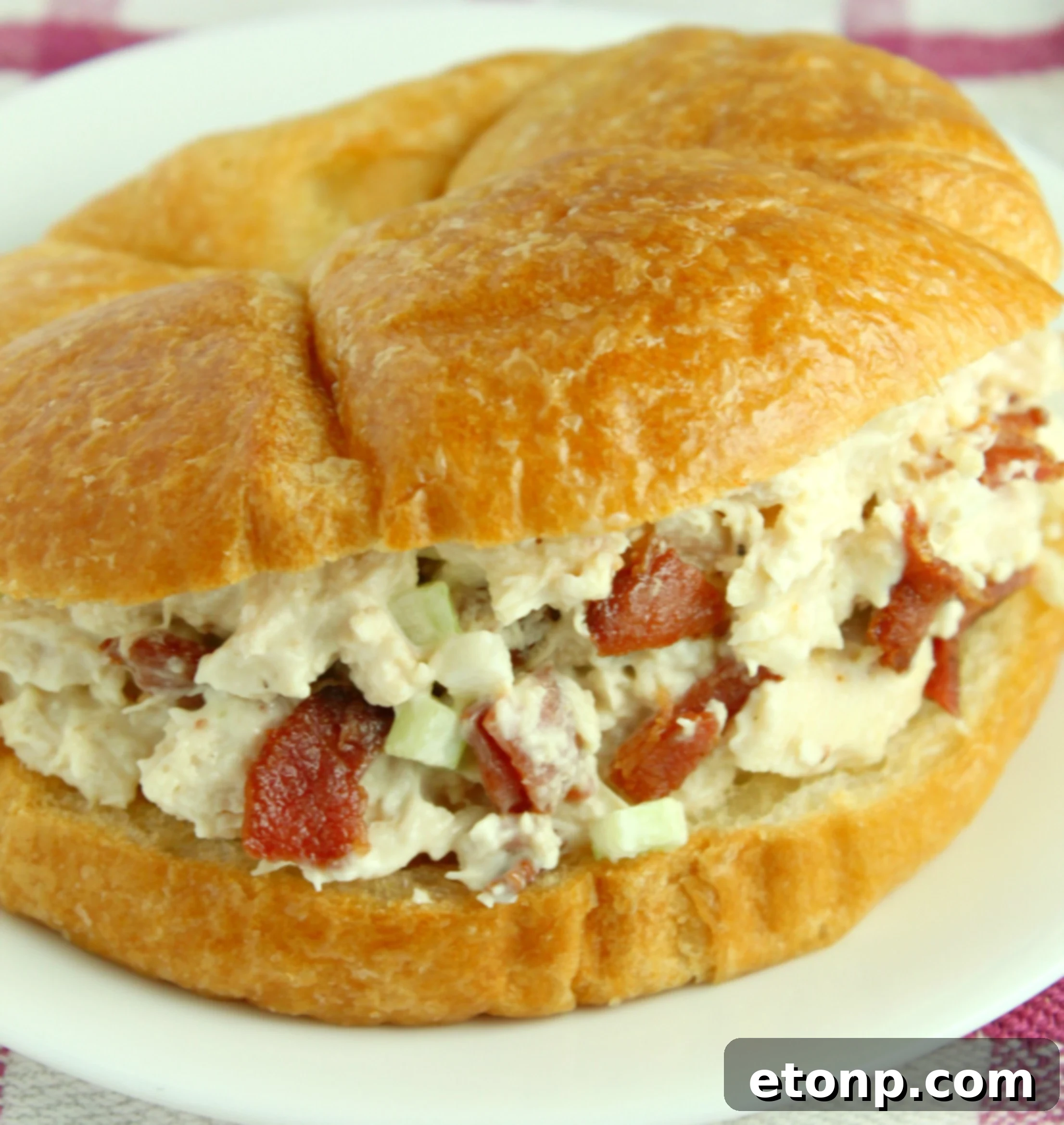 Homemade chicken salad with bacon, ready to be served.
