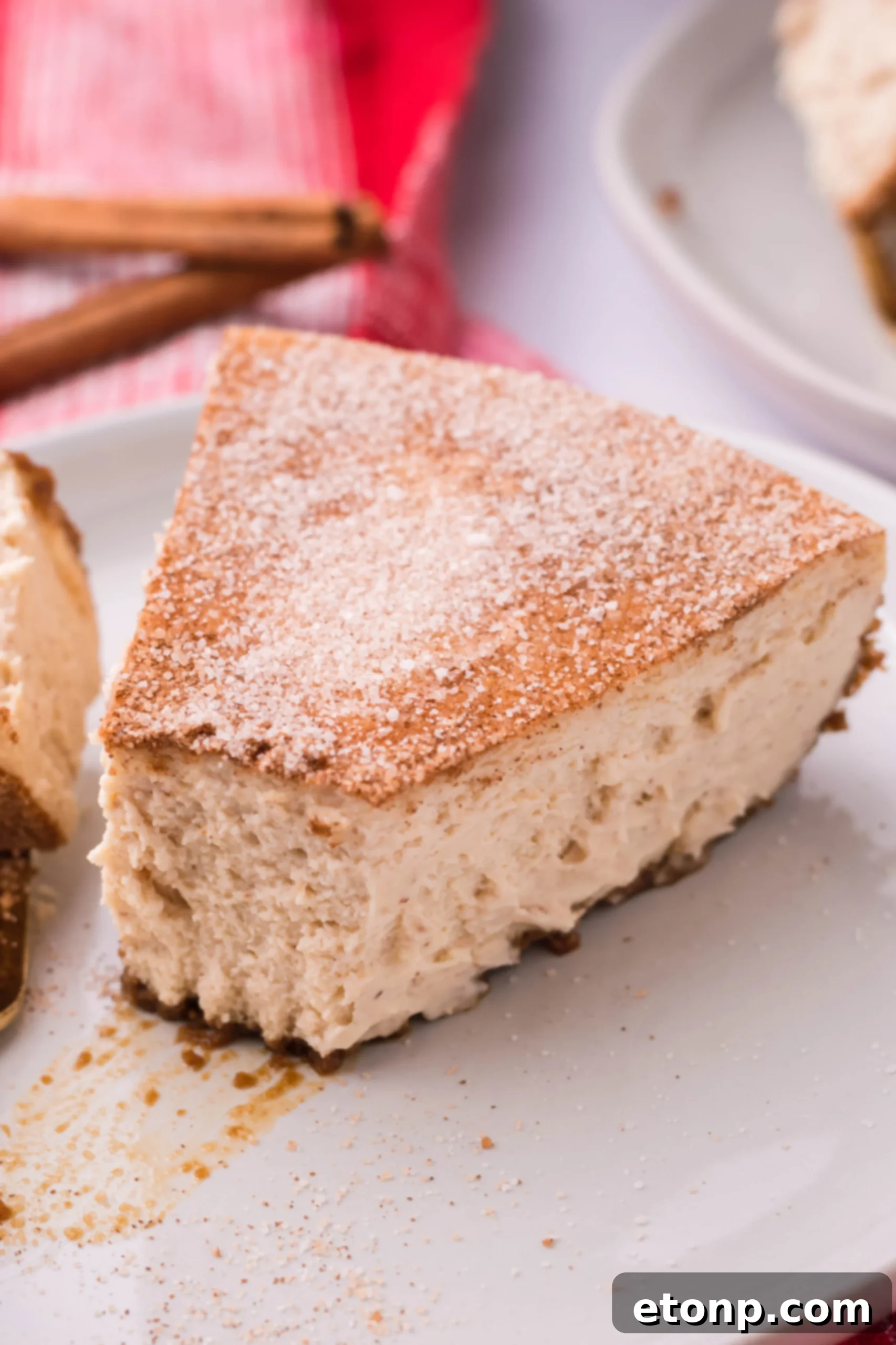 Warm Cinnamon Swirl Cheesecake 2 Snickerdoodle Cheesecake