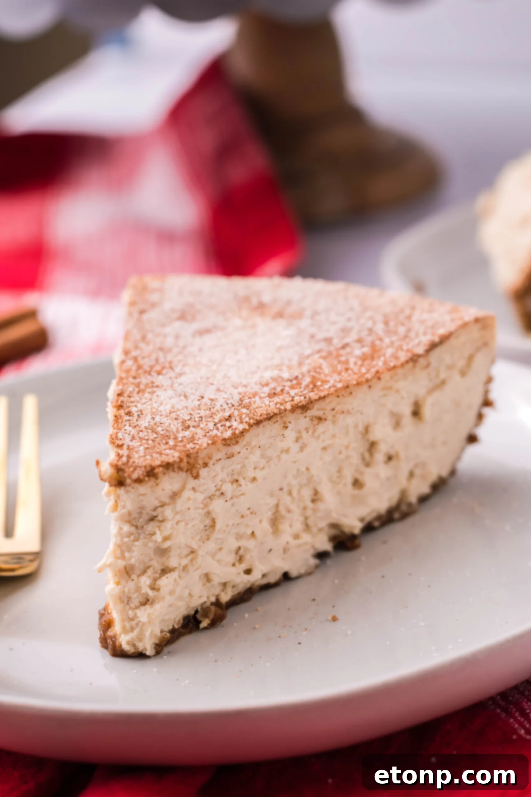 Warm Cinnamon Swirl Cheesecake 12 Another slice of Snickerdoodle Cheesecake