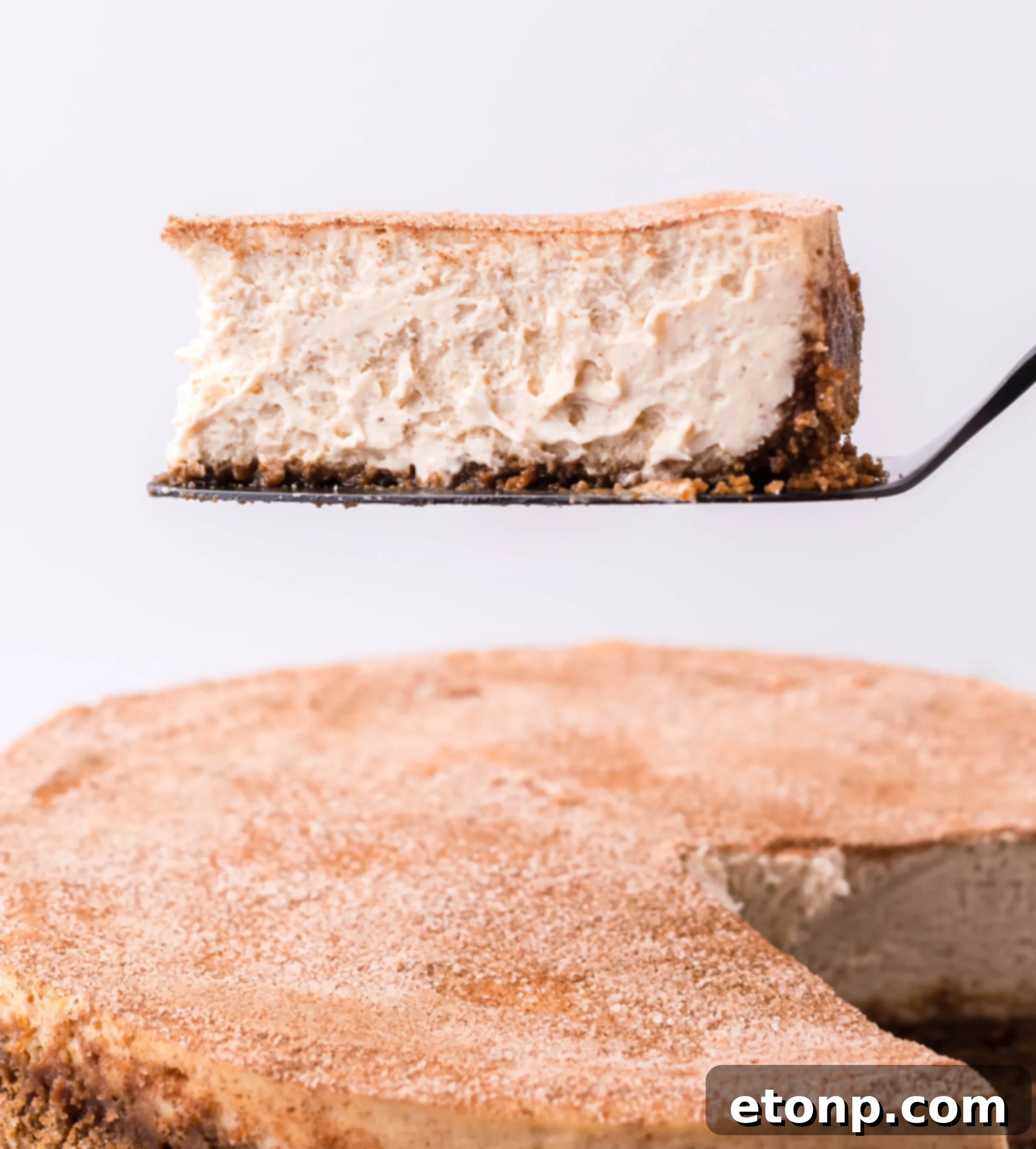 Warm Cinnamon Swirl Cheesecake 13 Whole Snickerdoodle Cheesecake