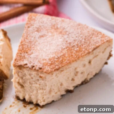 Snickerdoodle Cheesecake