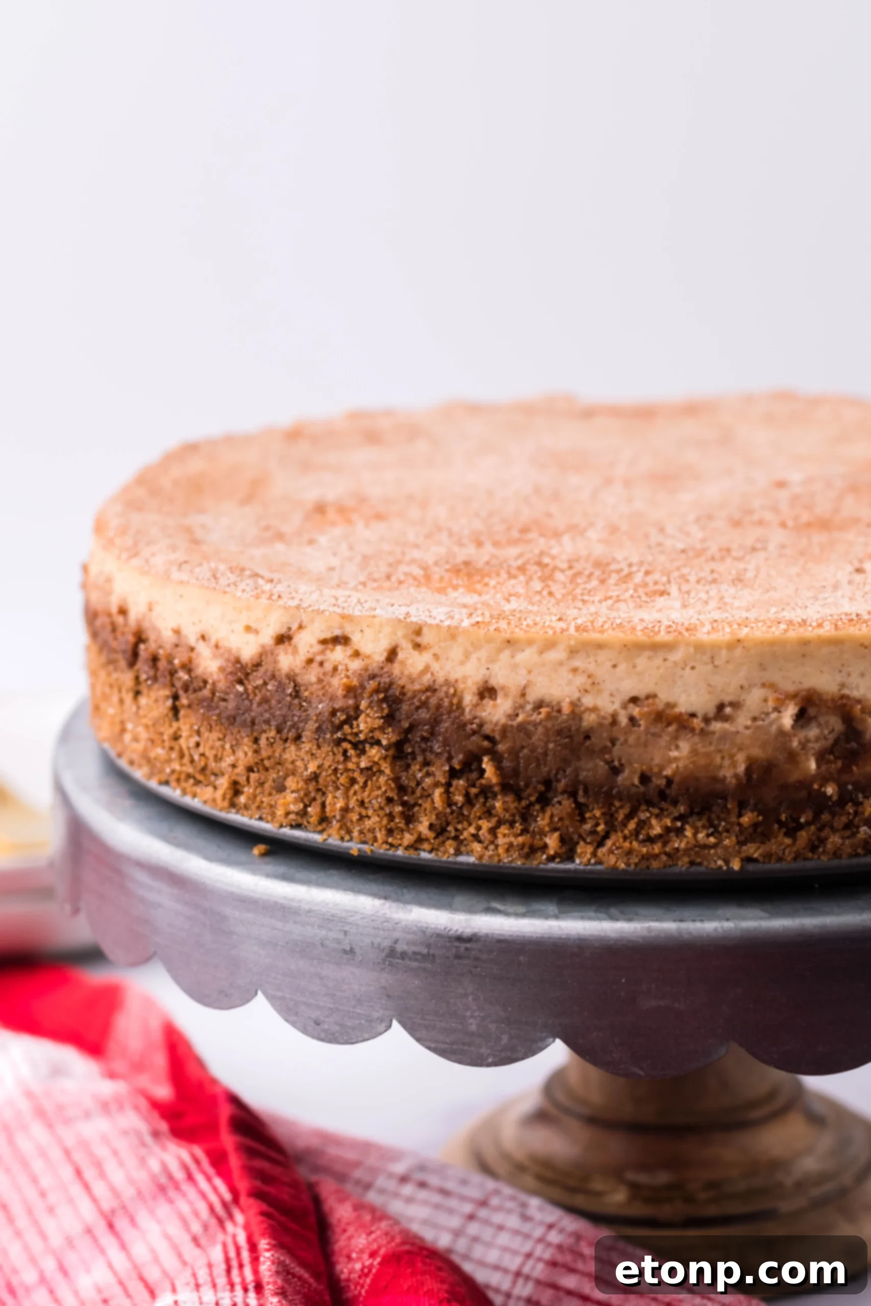 Warm Cinnamon Swirl Cheesecake 3 Close-up of Snickerdoodle Cheesecake slice